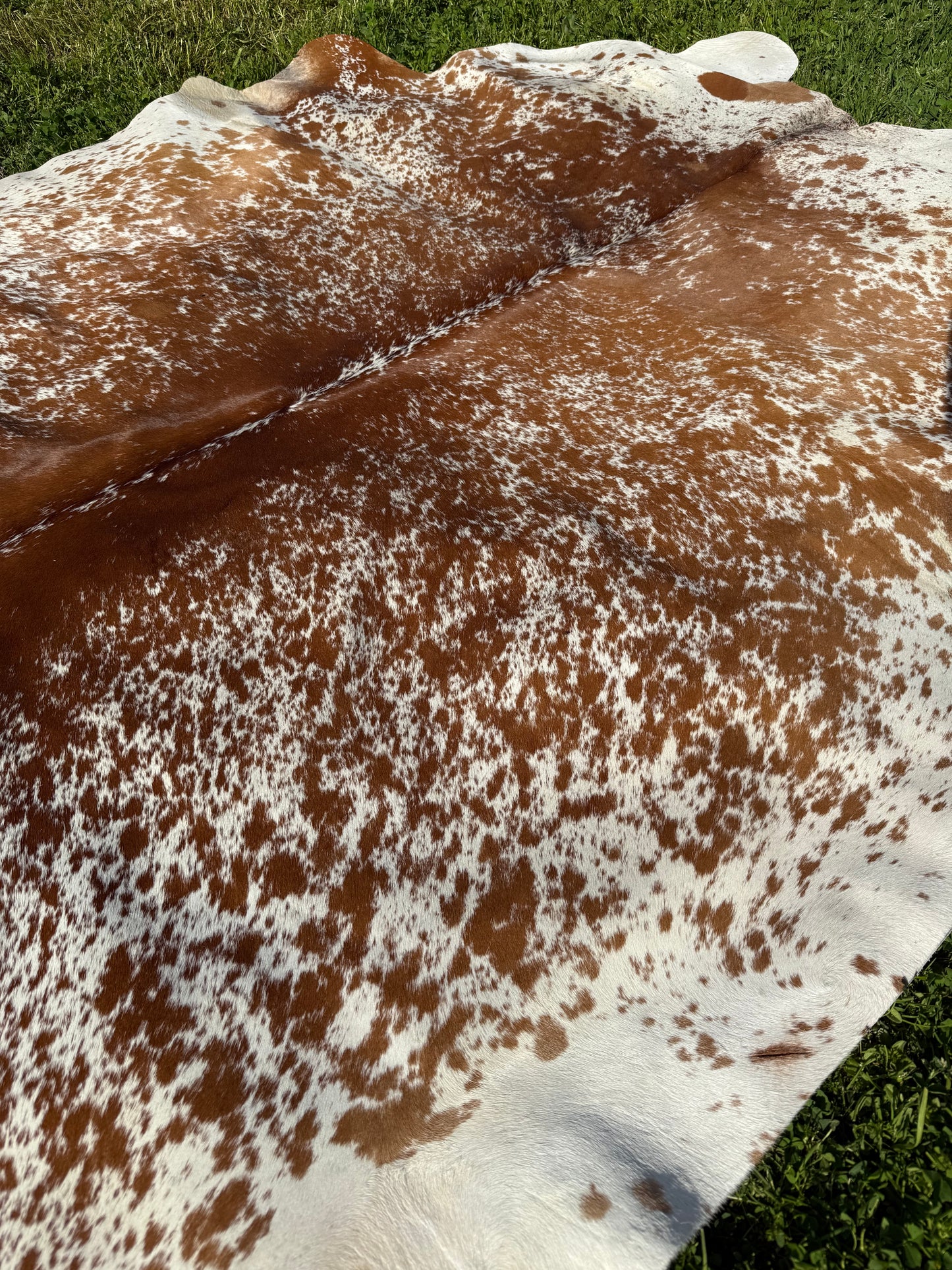 Cowhide Rug 331