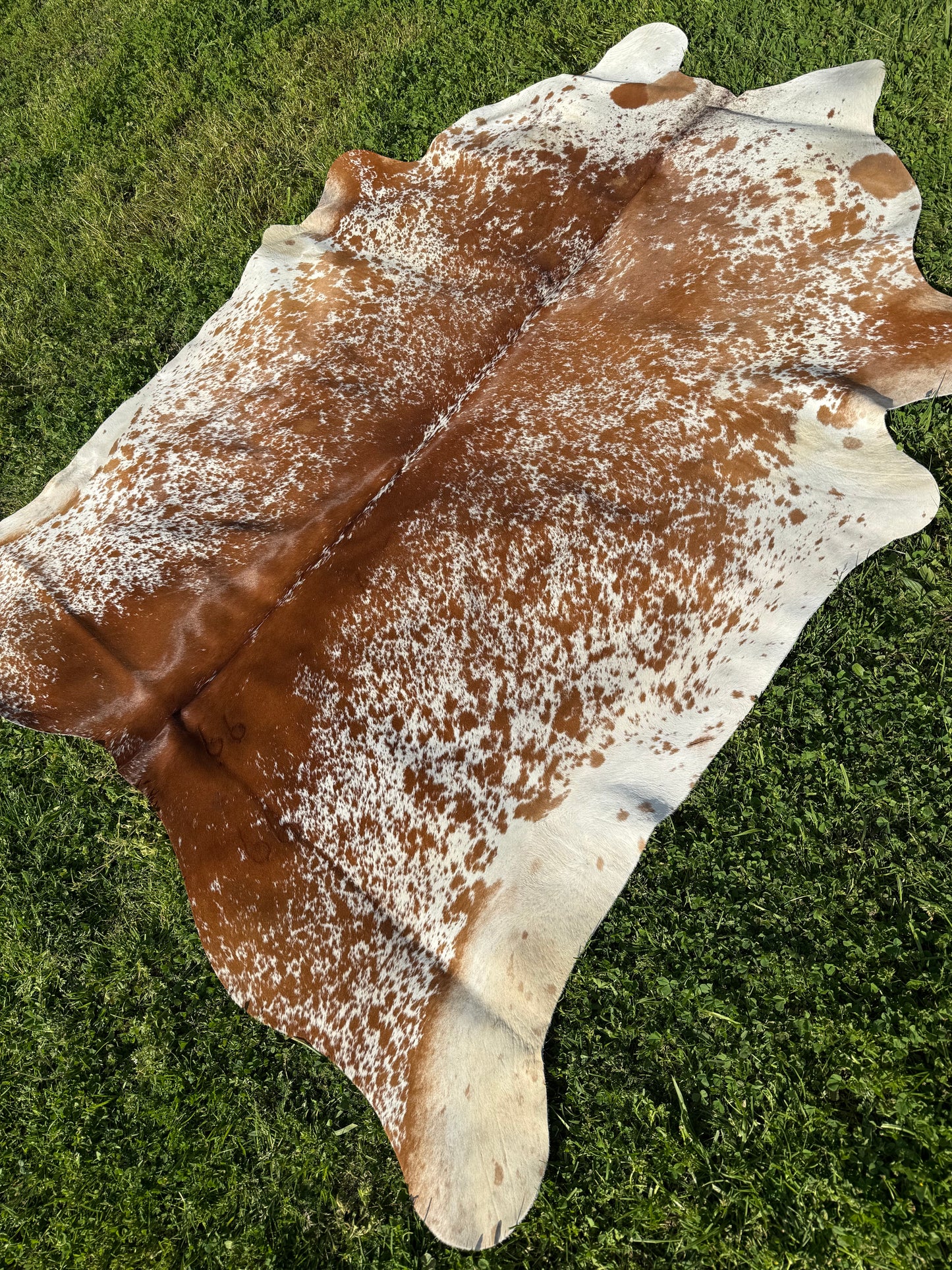 Cowhide Rug 331
