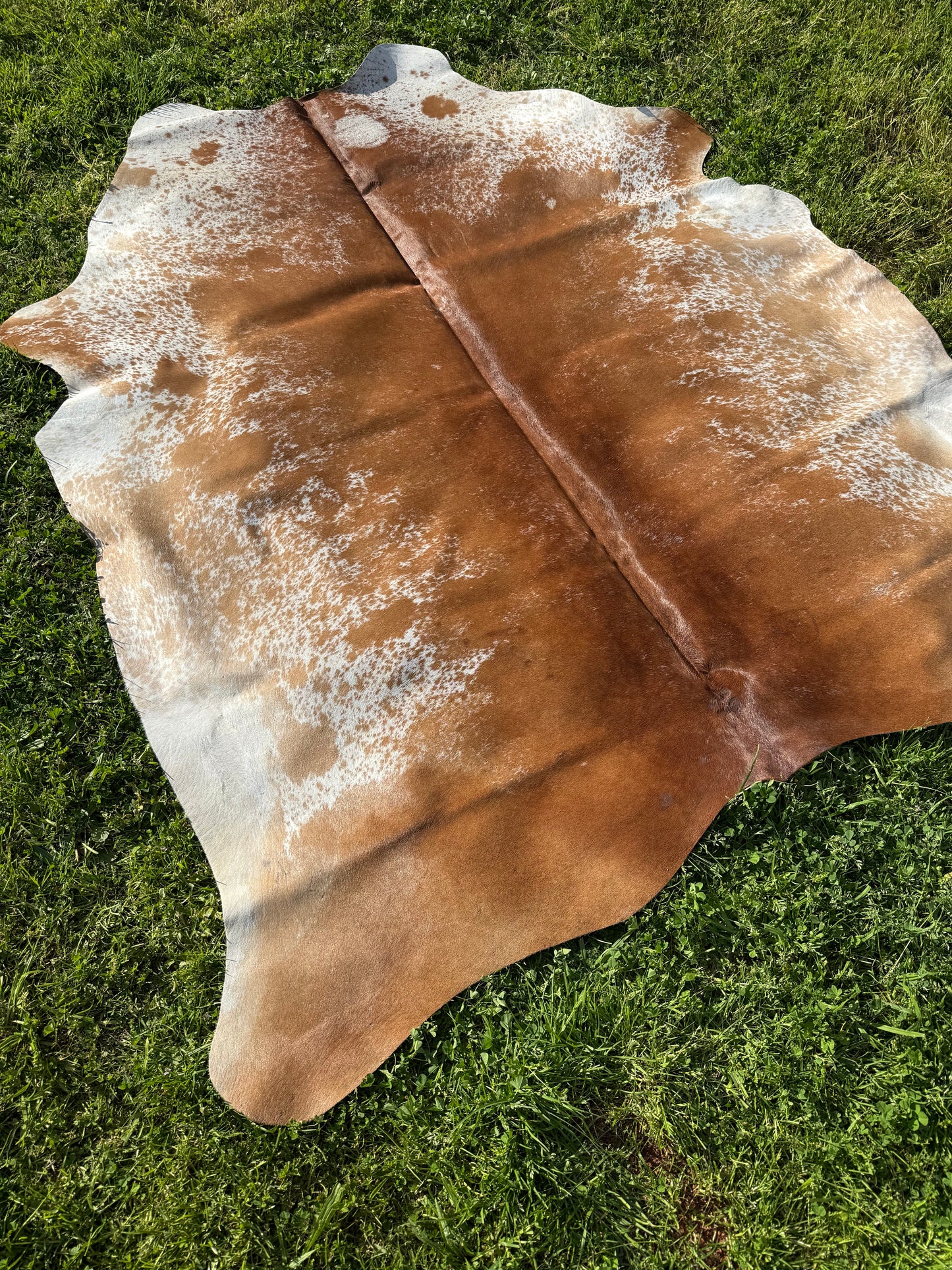 Cowhide Rug 332