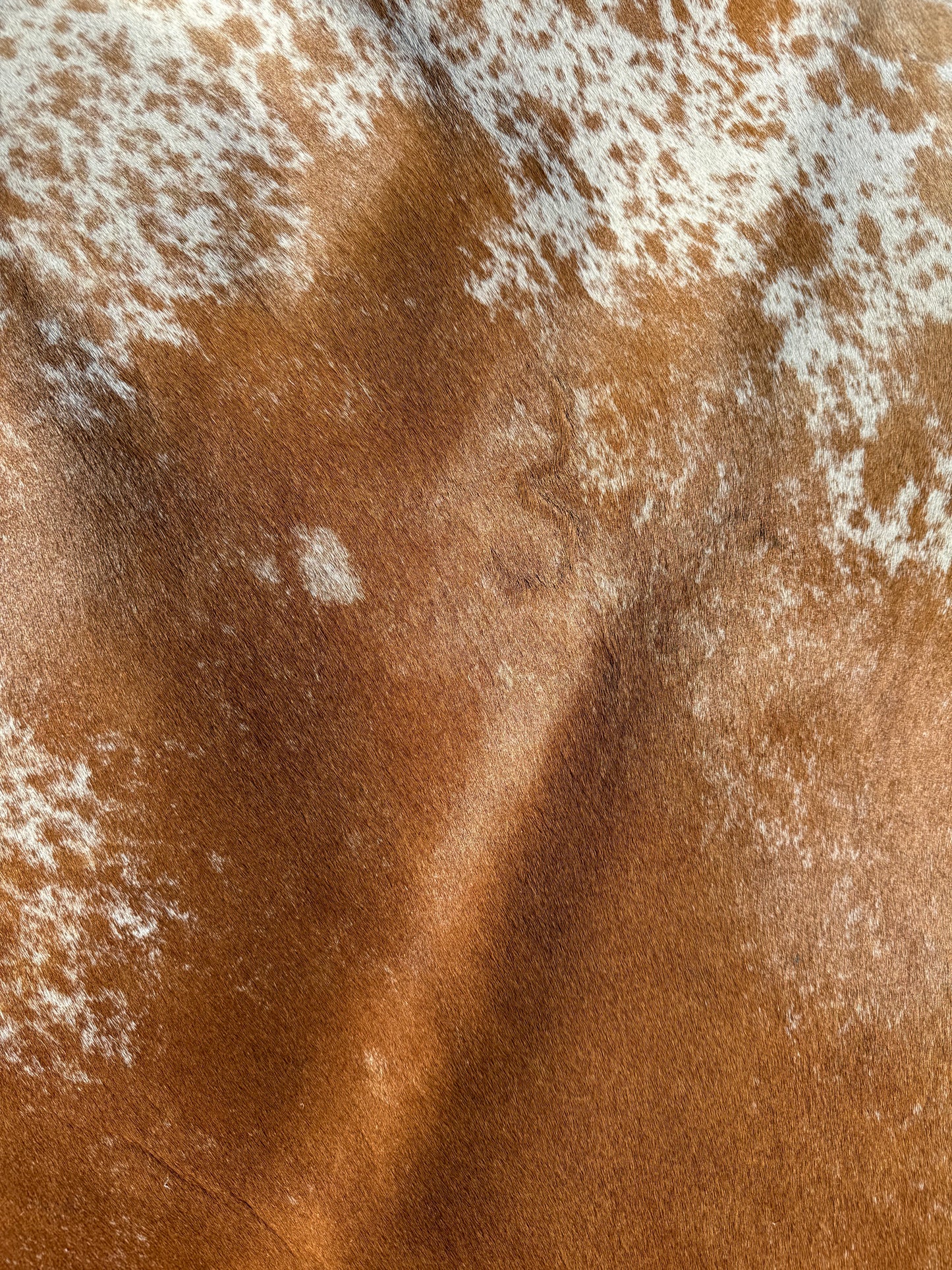 Cowhide Rug 332