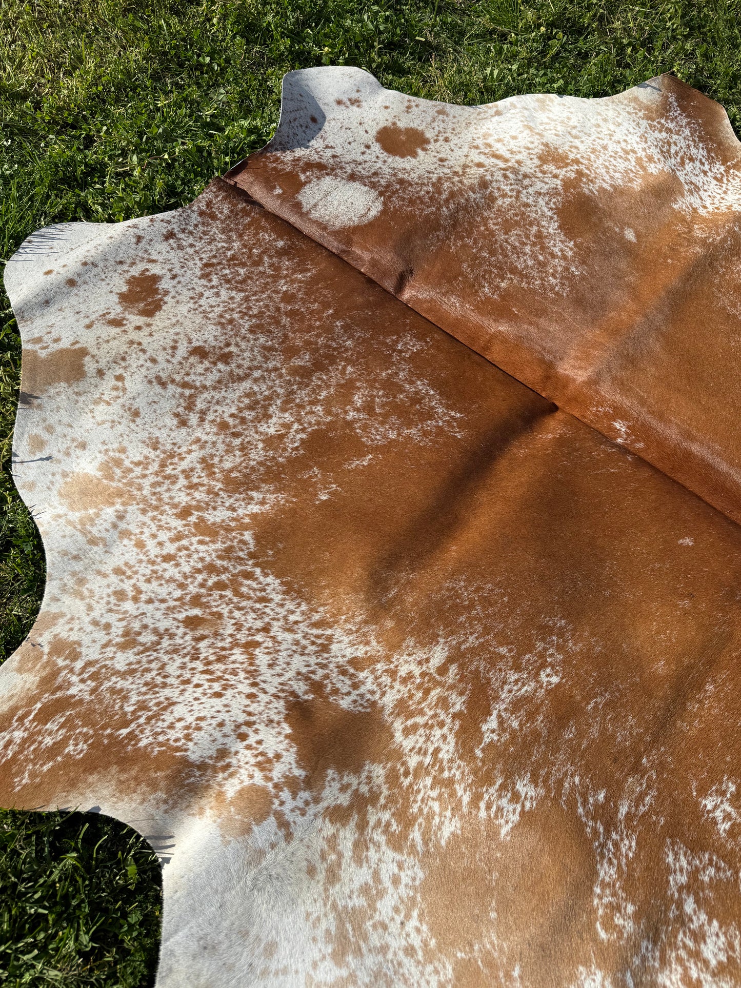 Cowhide Rug 332