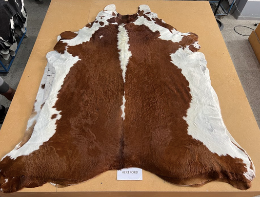 *** Pre order*** Cowhide Rug H197