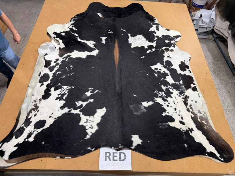 *** Pre order*** Cowhide Rug R374