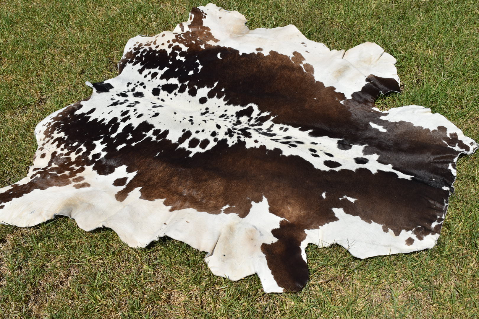 Craft Hide | Hunter and Hide – hunterandhide