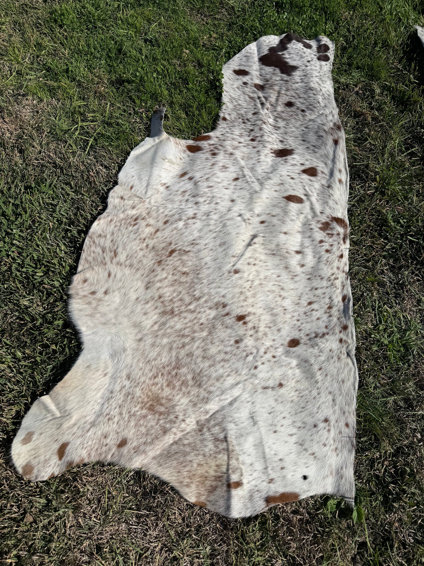 Craft hide side - 179