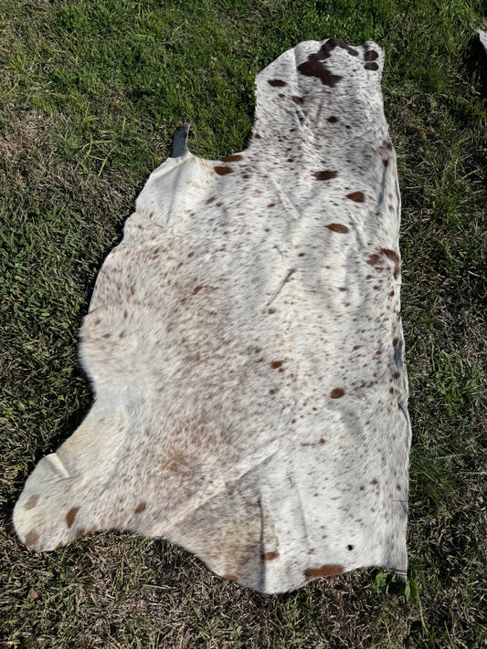 Craft hide side - 179