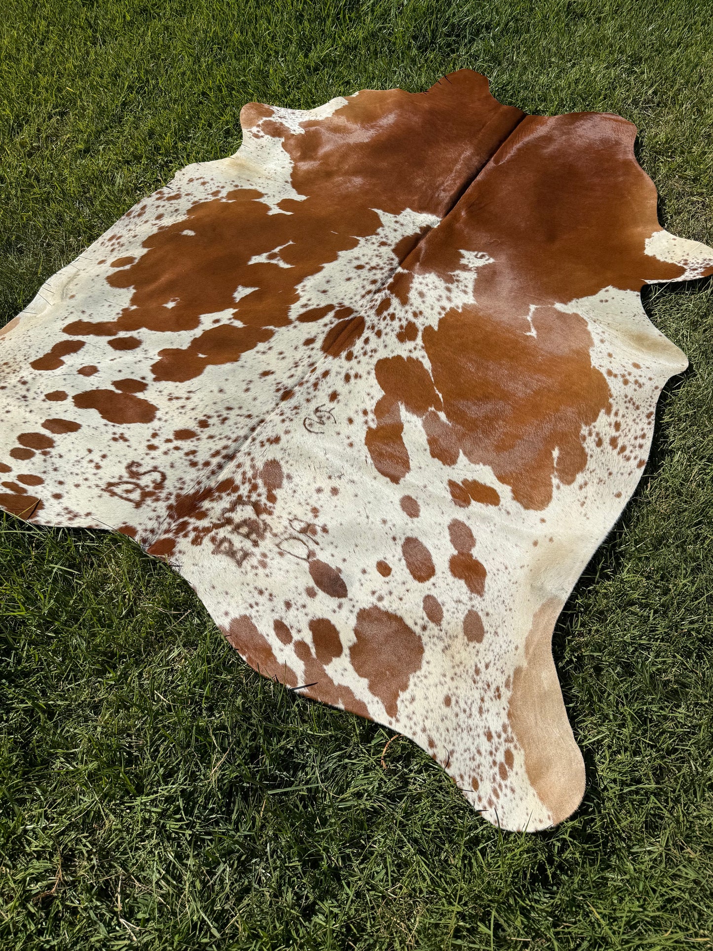 Cowhide Rug 403