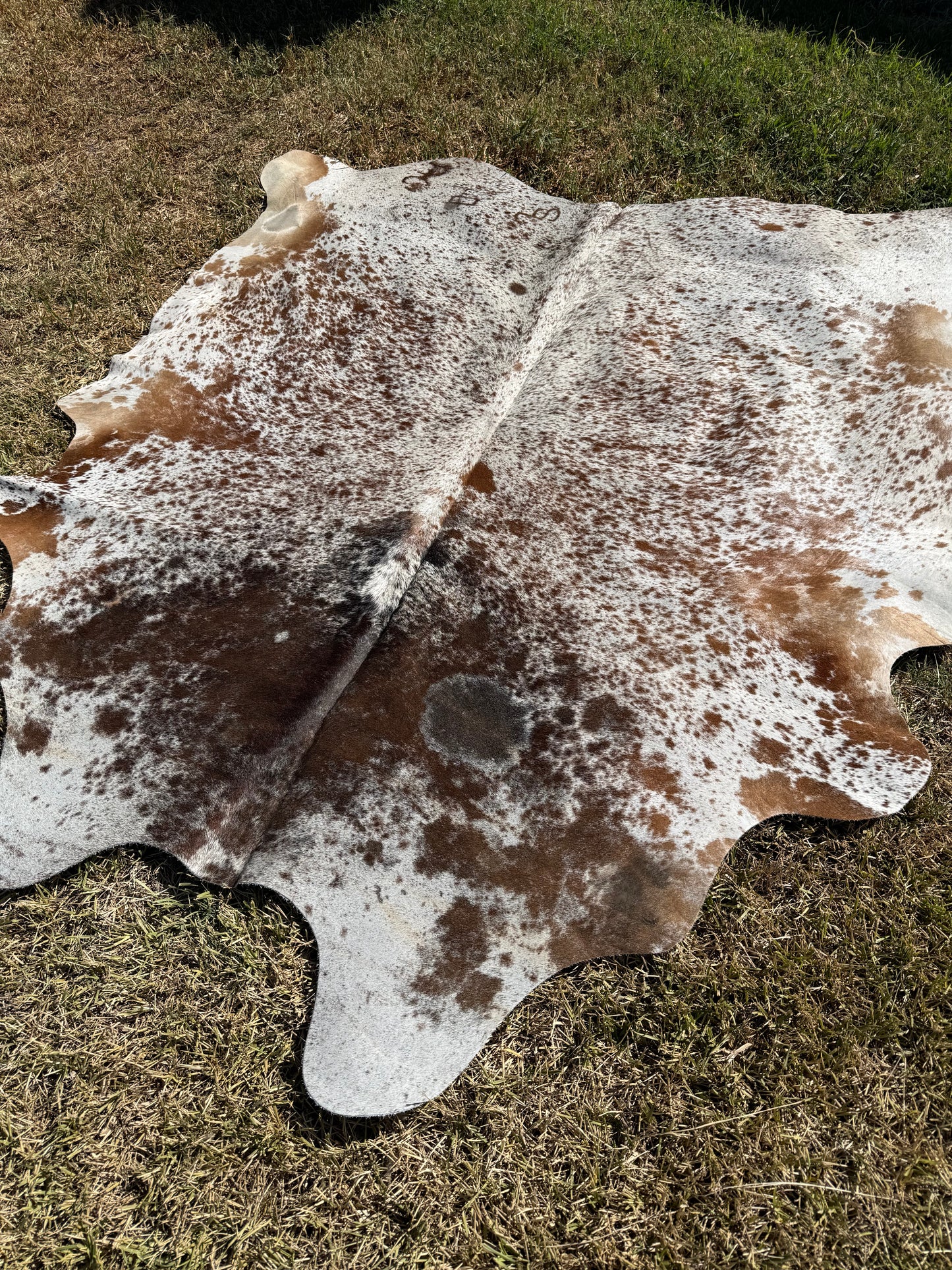 Cowhide Rug 401