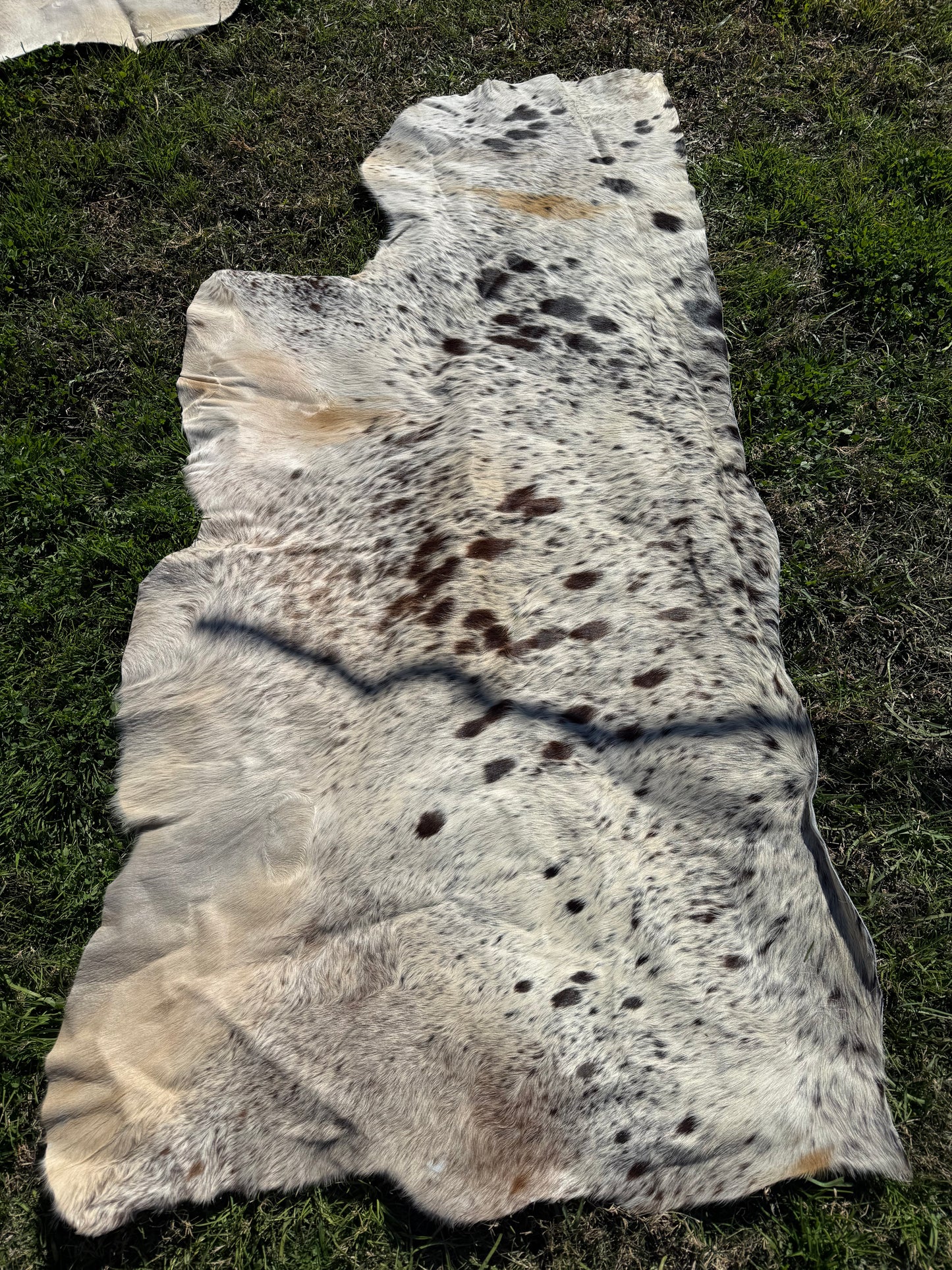 Craft hide side - 171