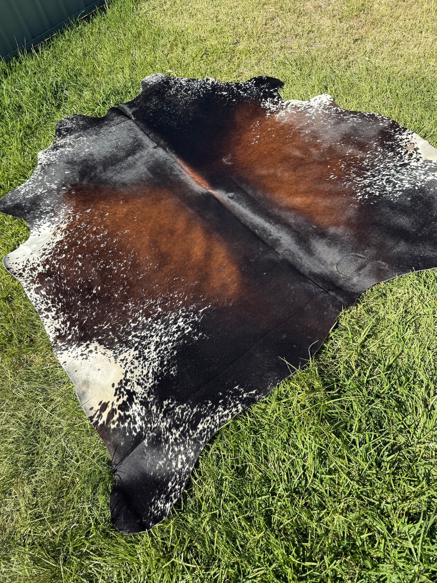 Cowhide Rug 405