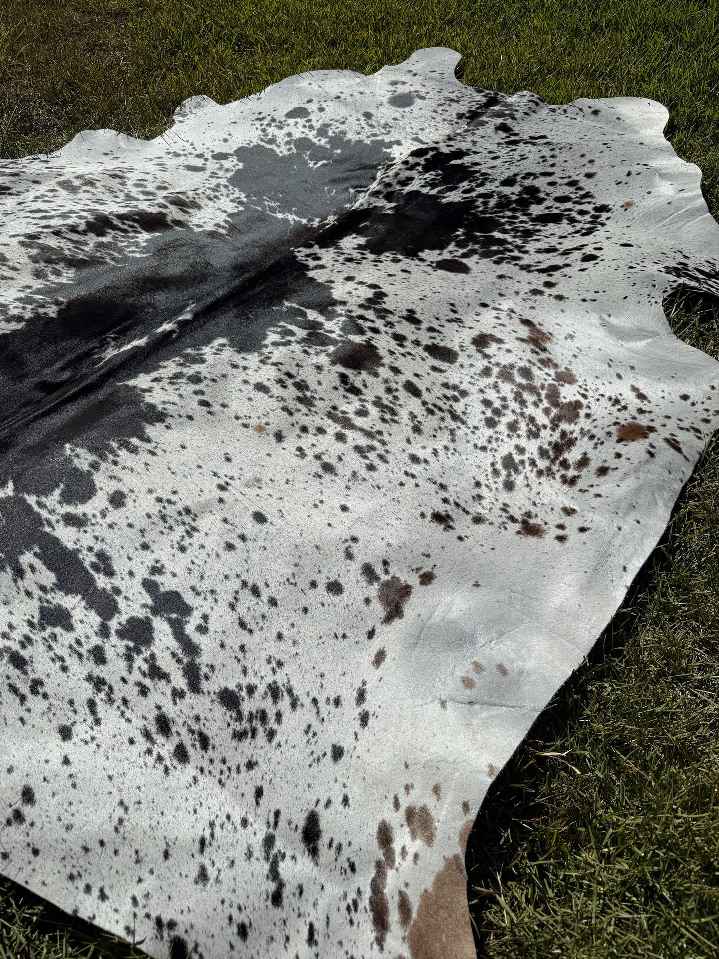 Cowhide Rug 414