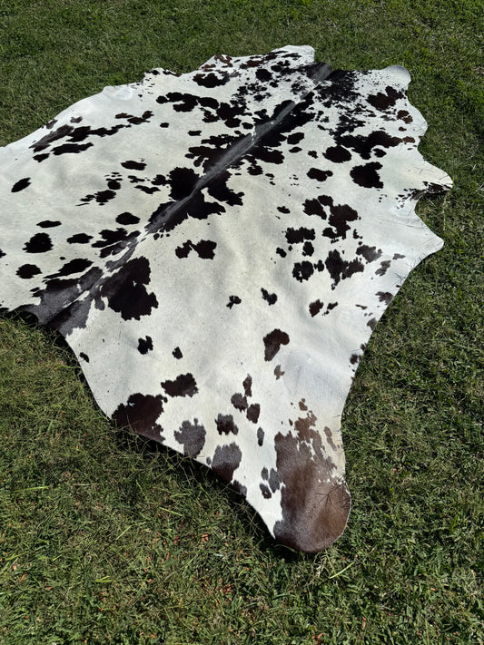 Cowhide Rug 291