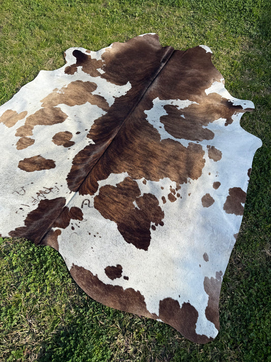 Cowhide Rug 315