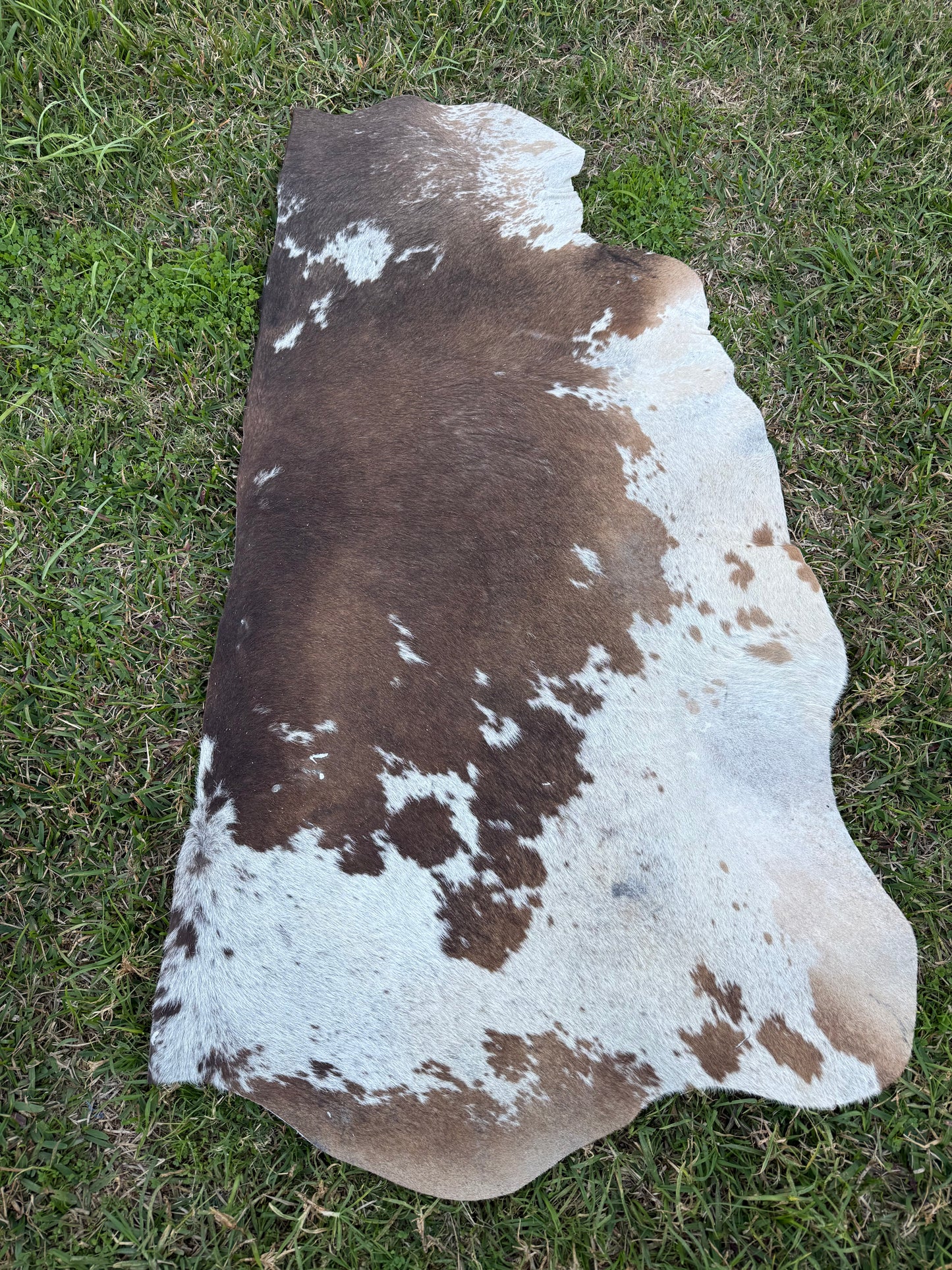 Craft hide side - 150