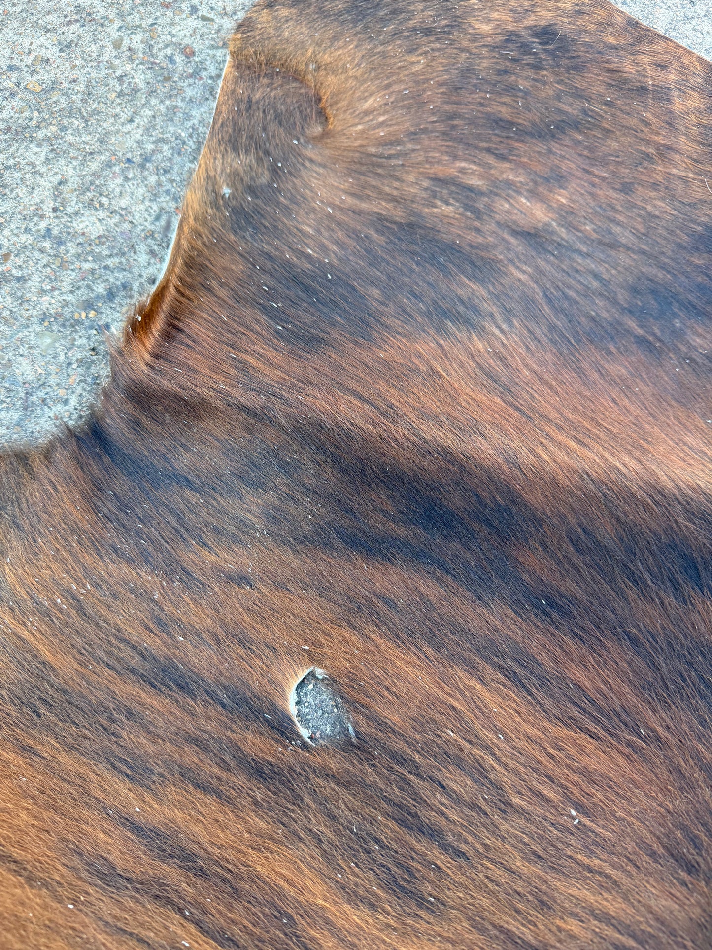 Craft hide side - 167
