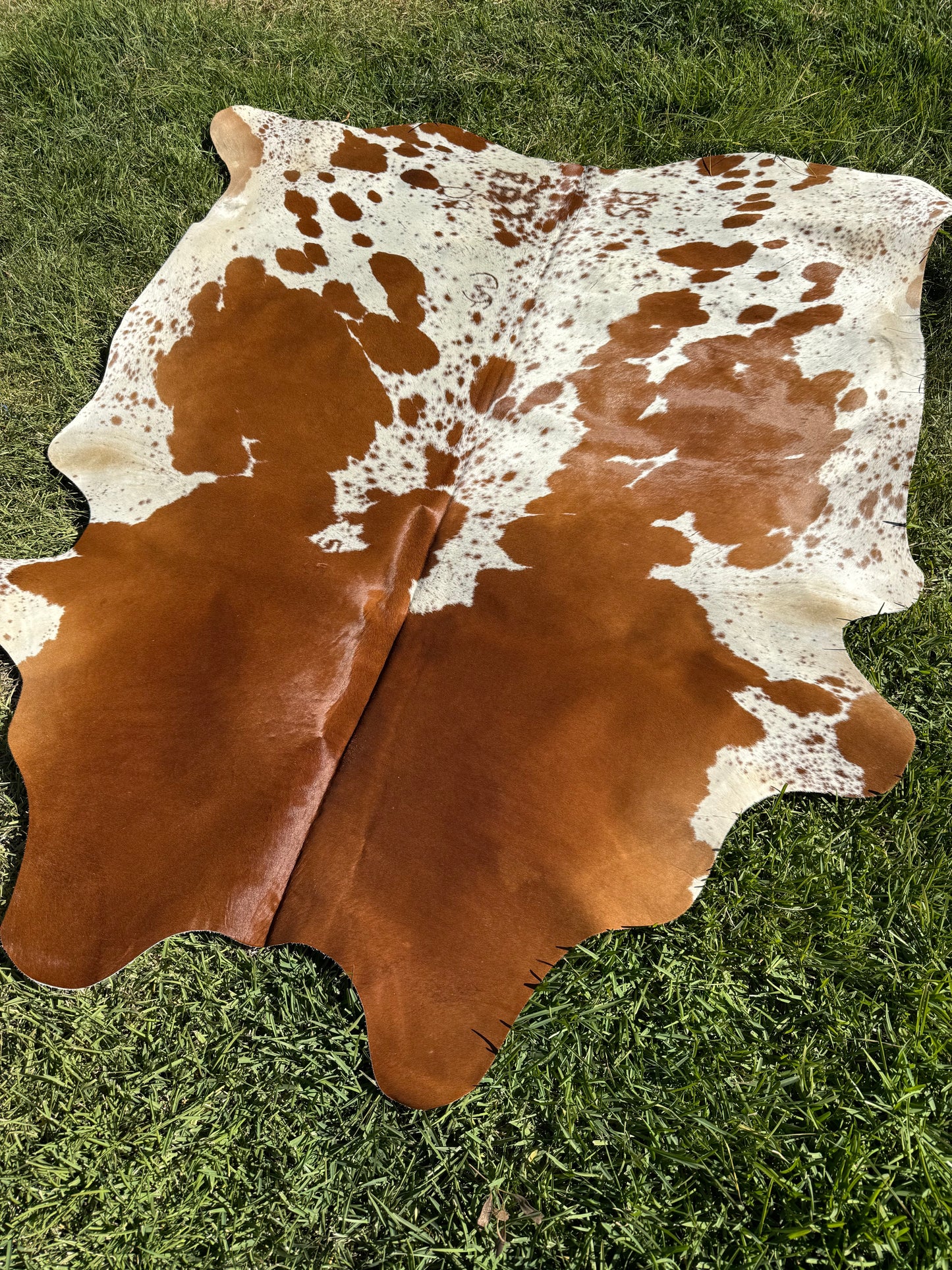 Cowhide Rug 403