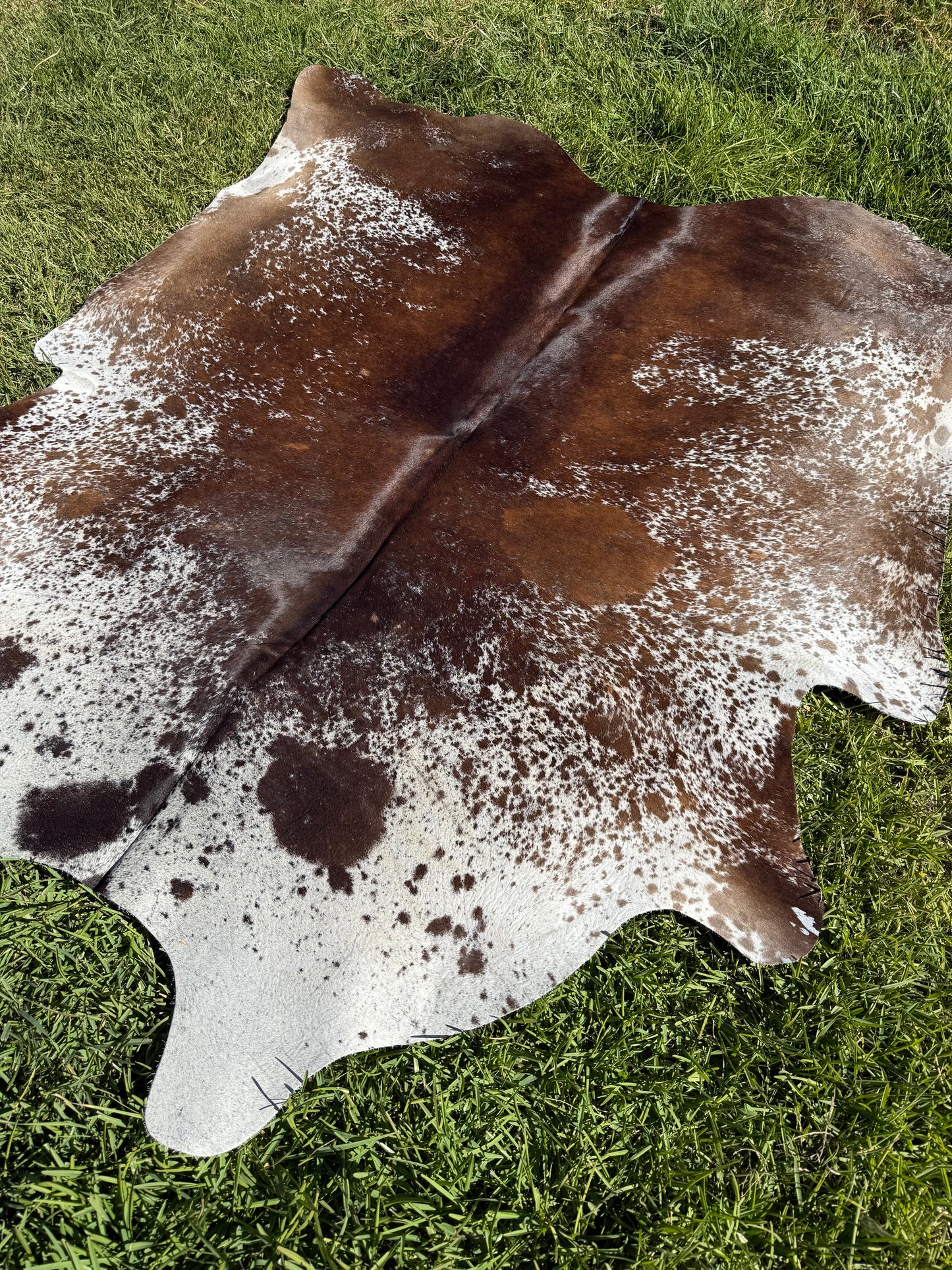 2nd Rug