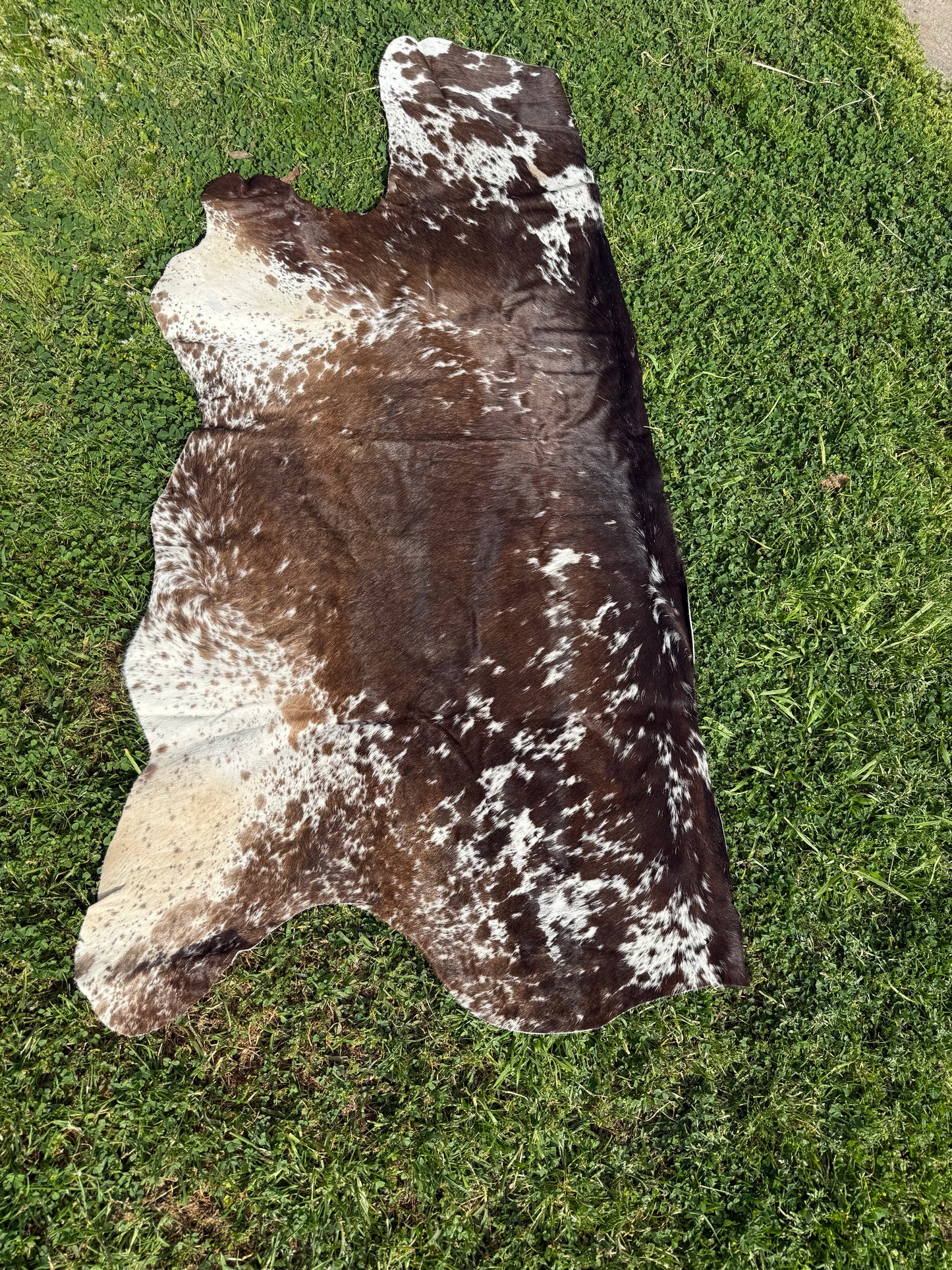 Craft hide side - 22