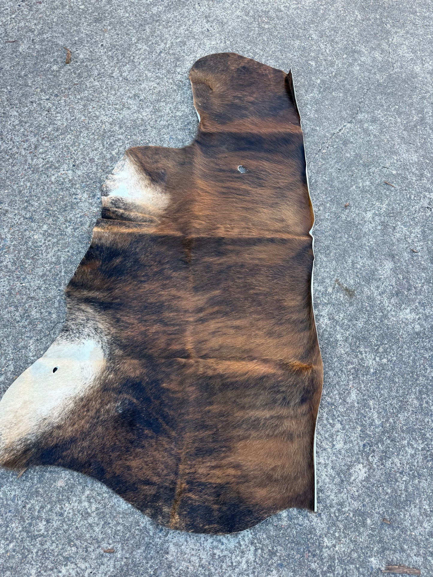 Craft hide side - 167