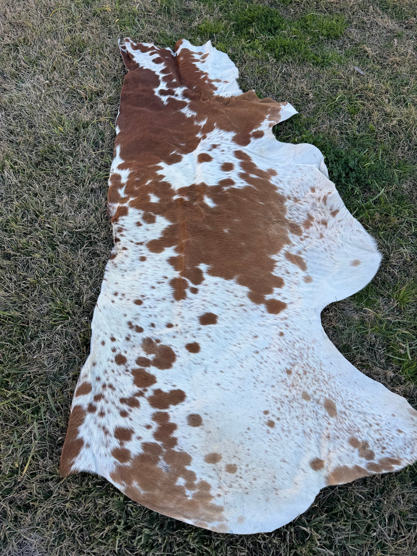 Craft hide side - 194
