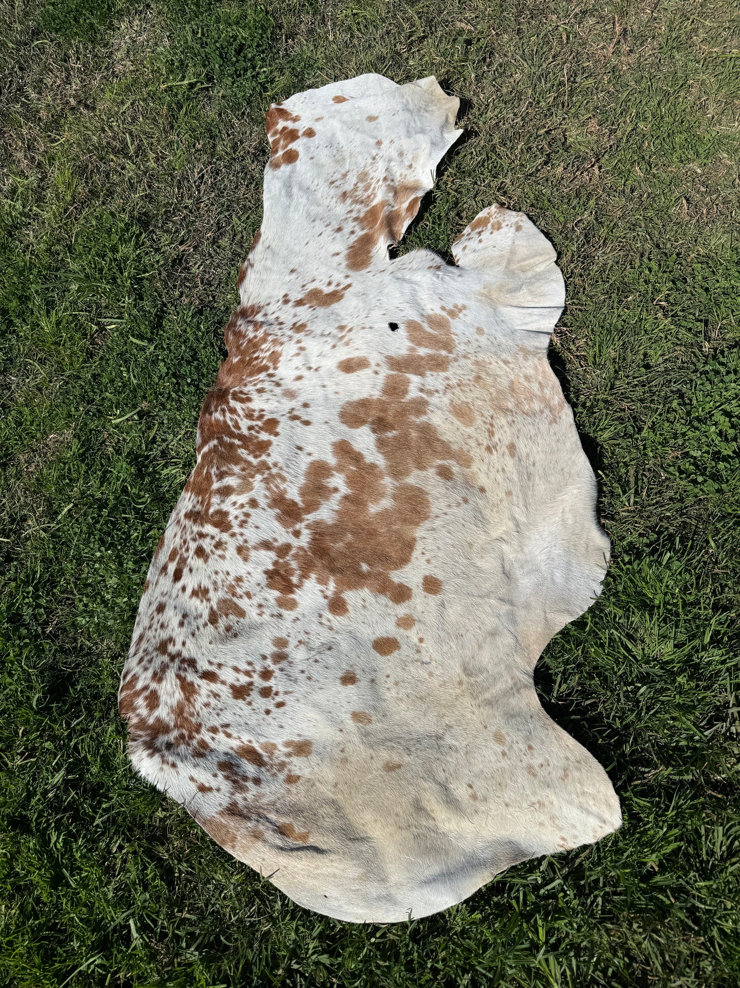 Craft hide side - 178