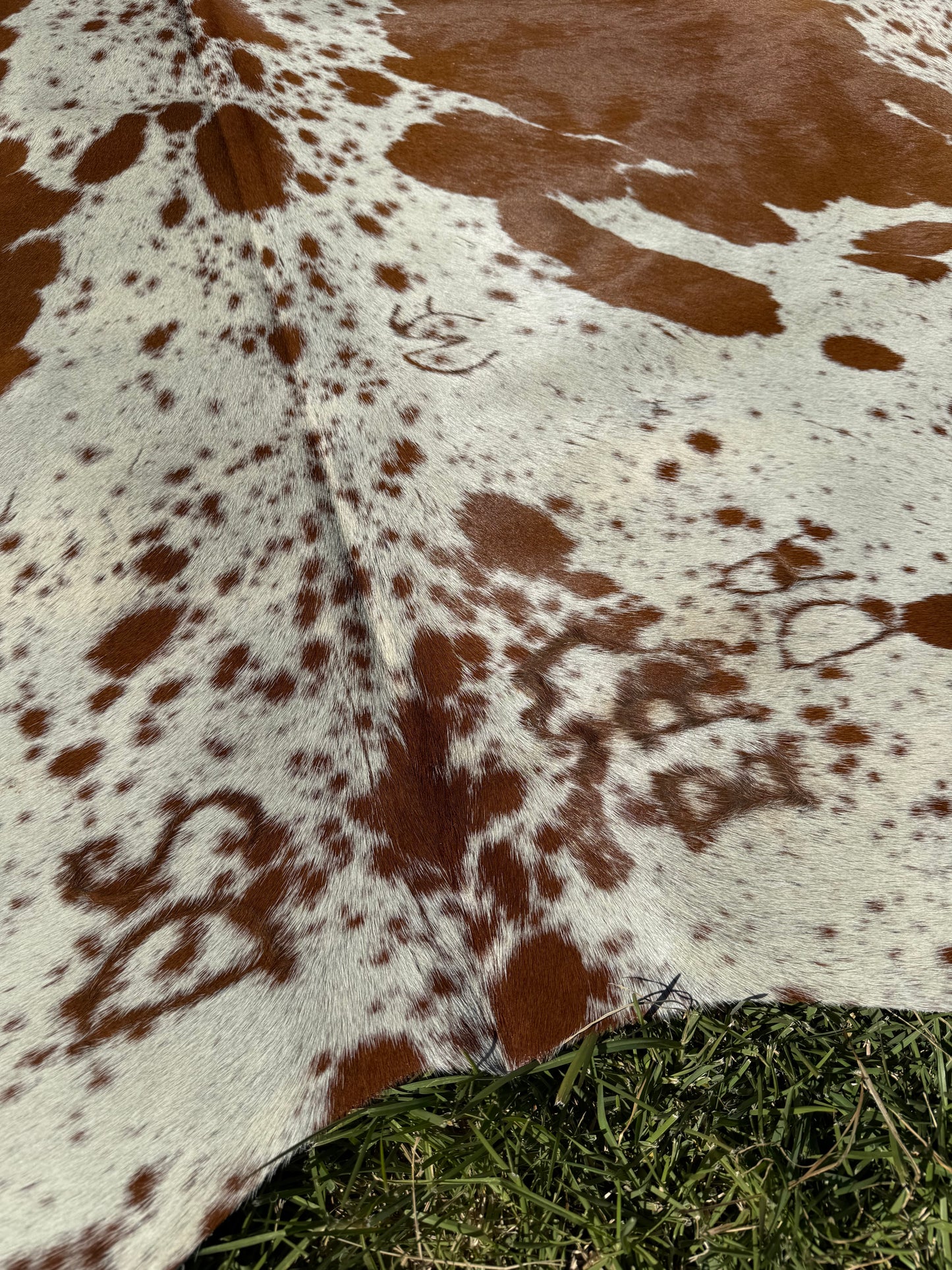 Cowhide Rug 403