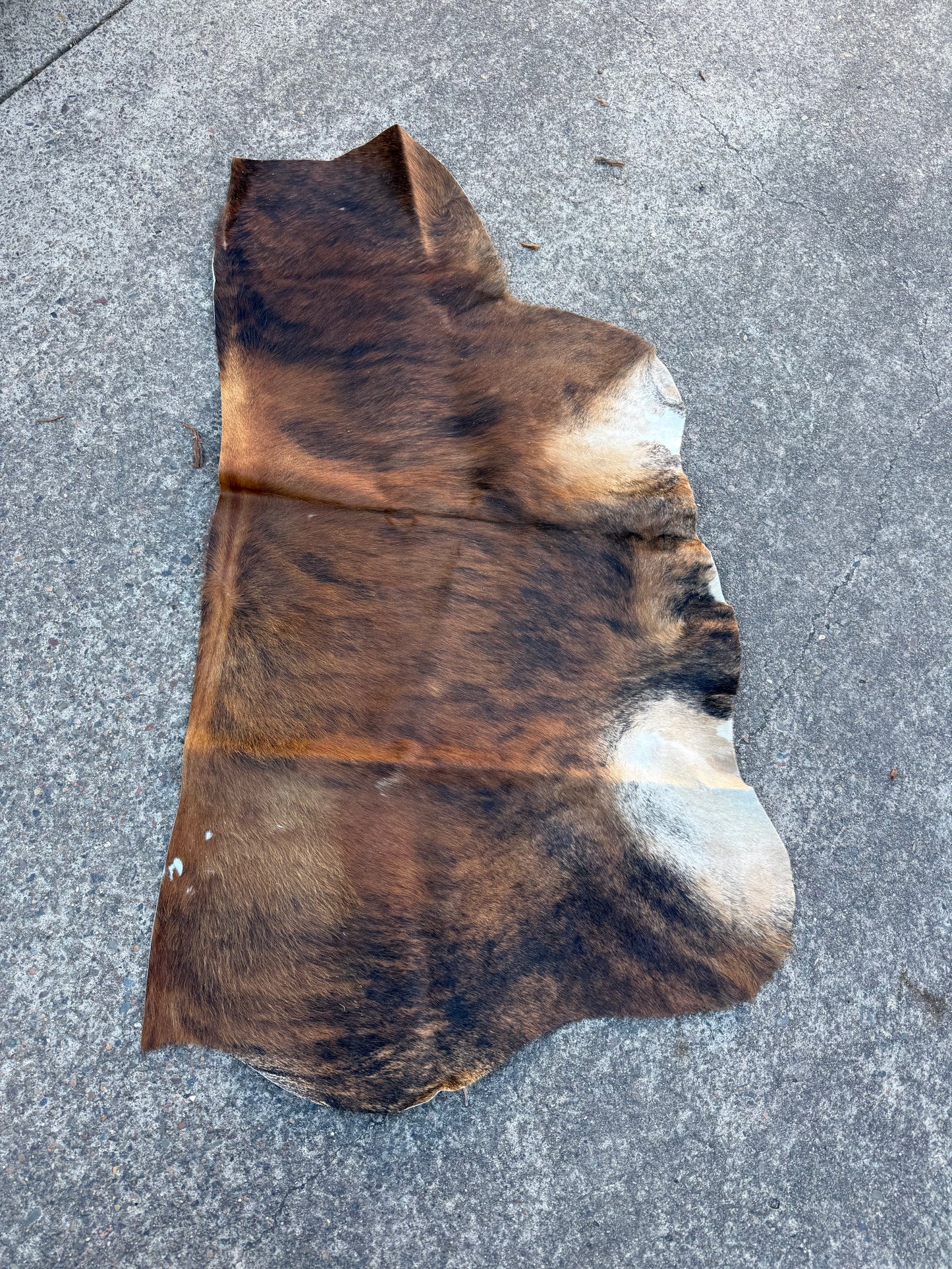 Craft hide side - 168