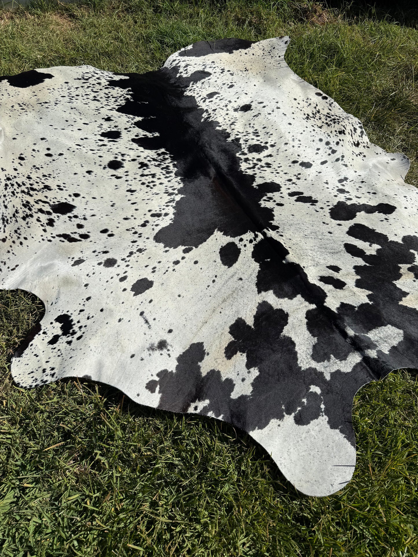 Cowhide Rug 413