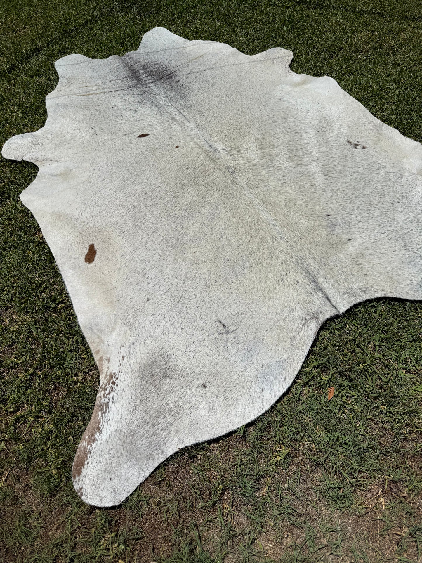 Cowhide Rug 367