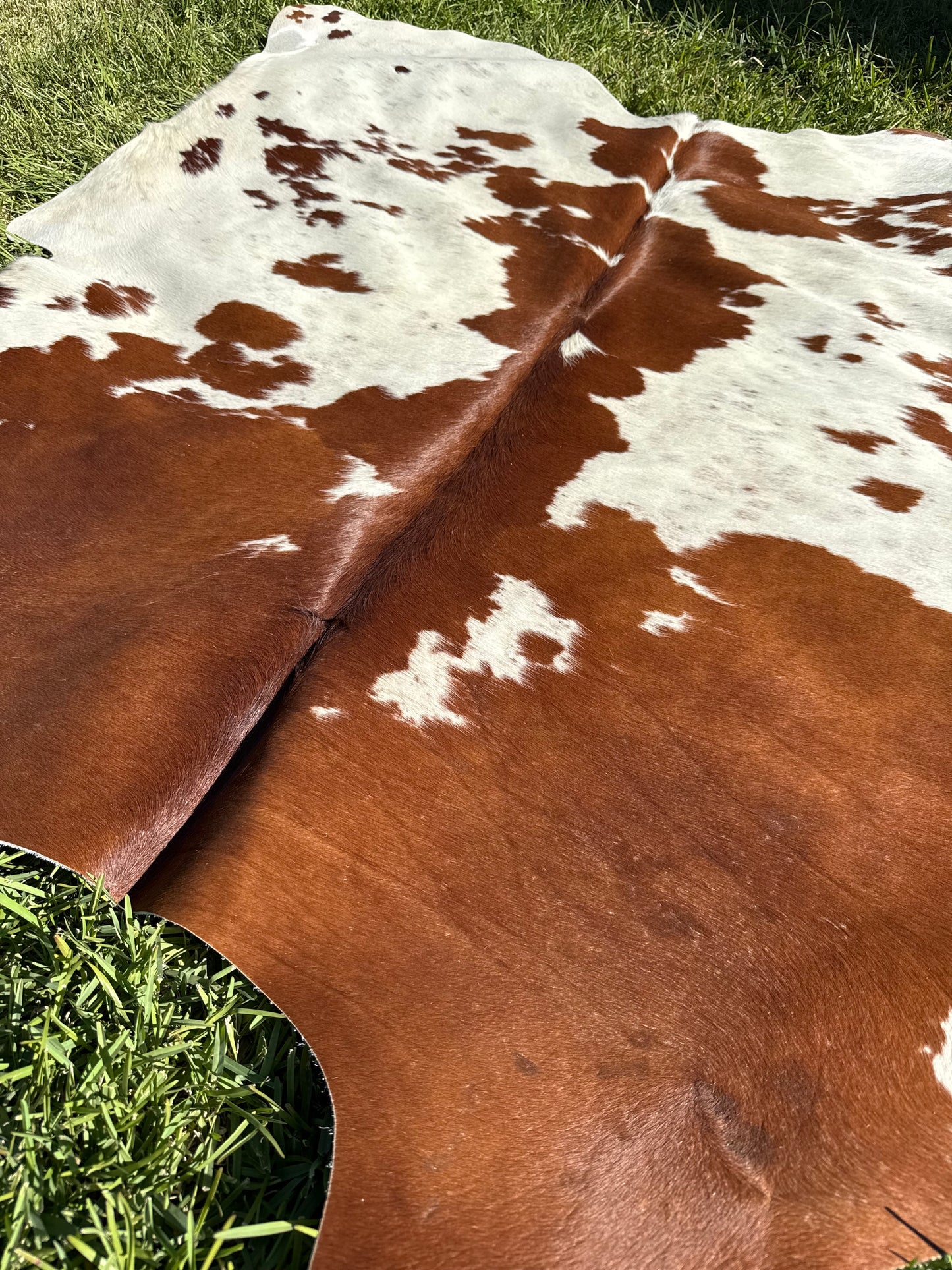 Cowhide Rug 410 - Small