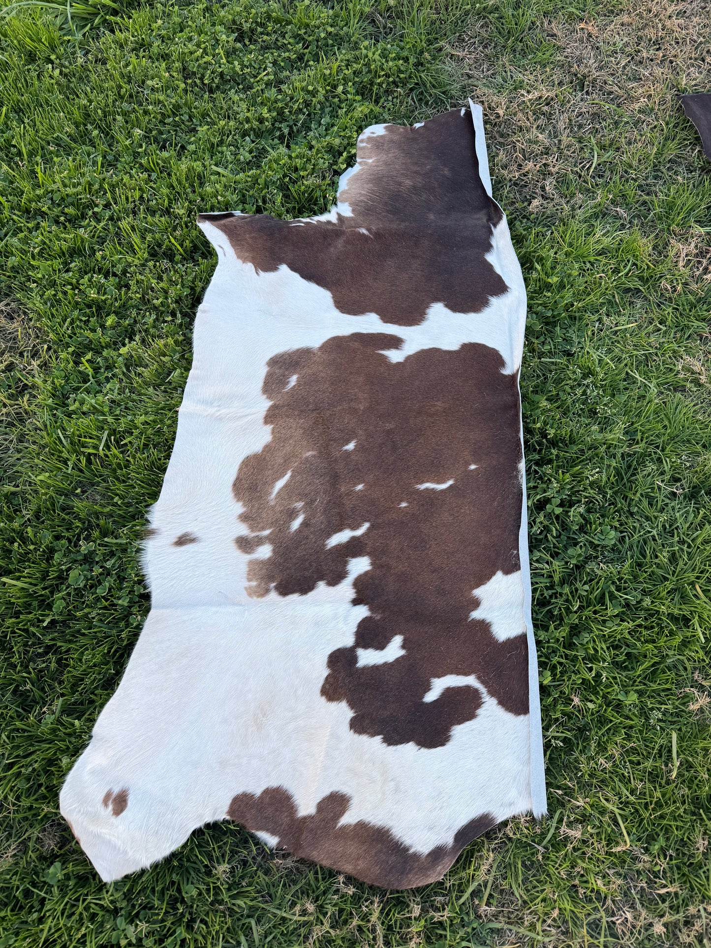 Craft hide side - 189