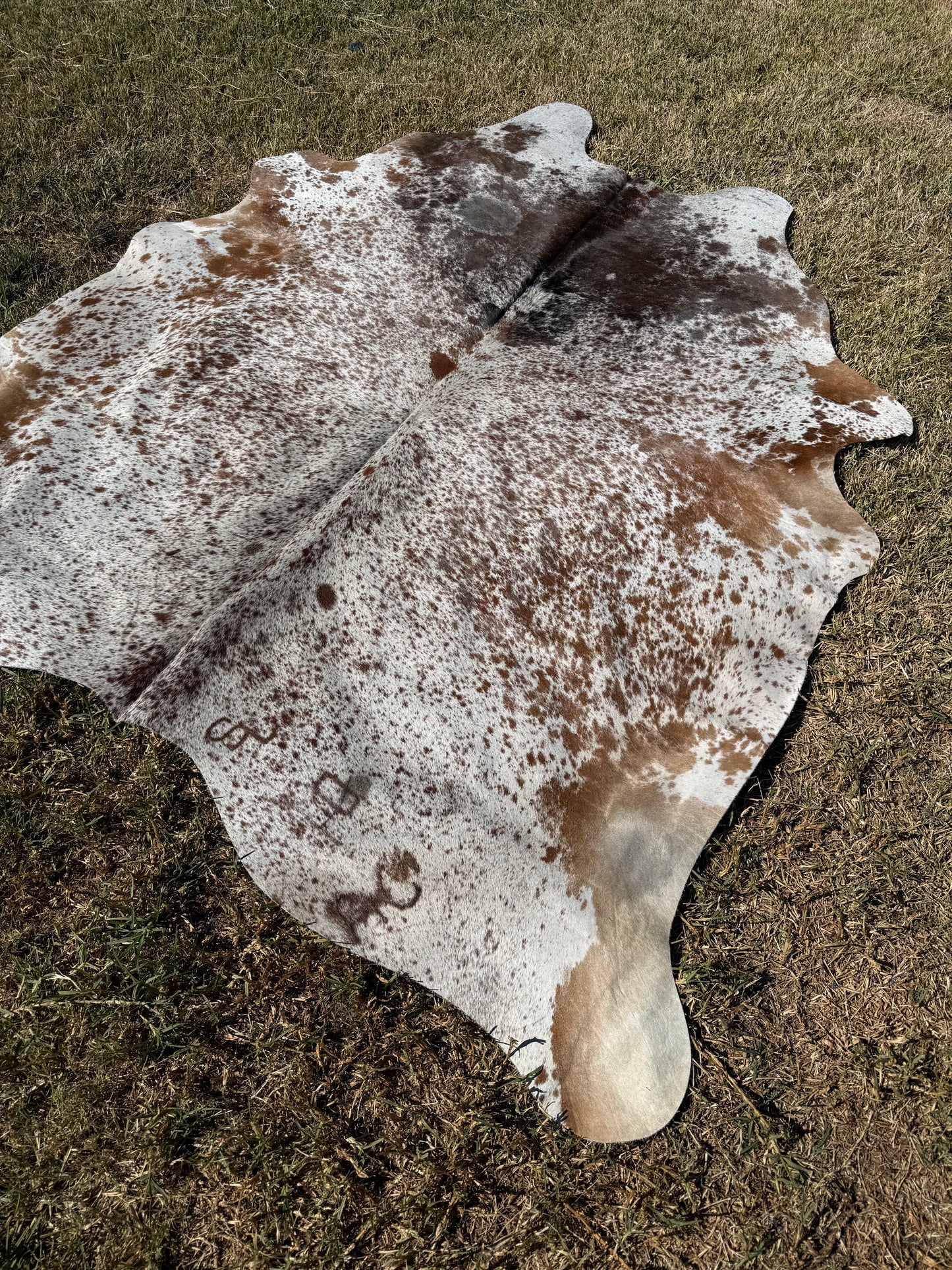 Cowhide Rug 401