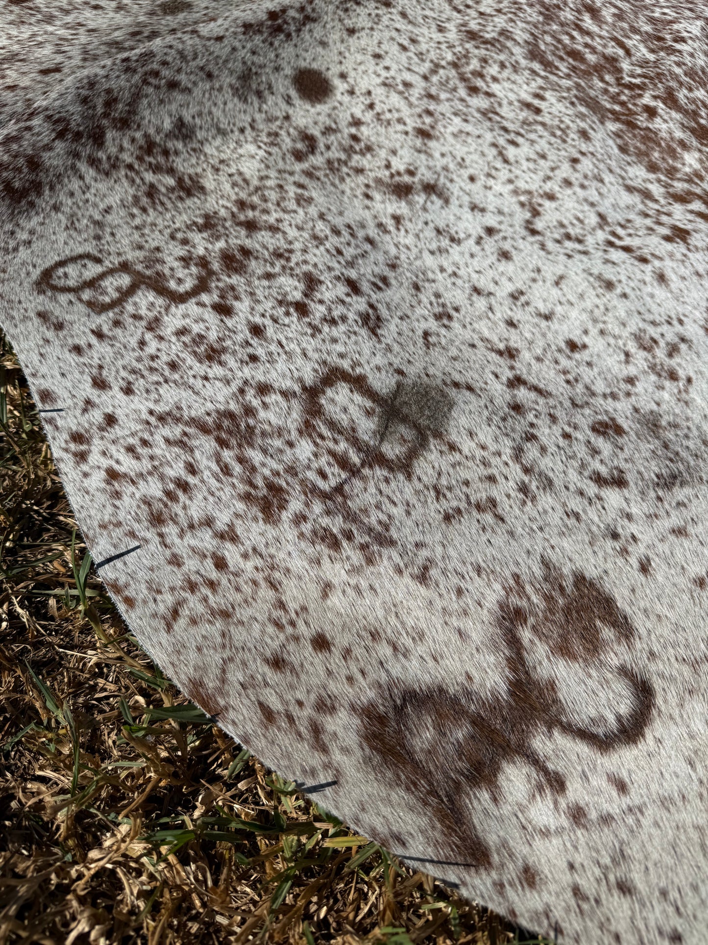 Cowhide Rug 401