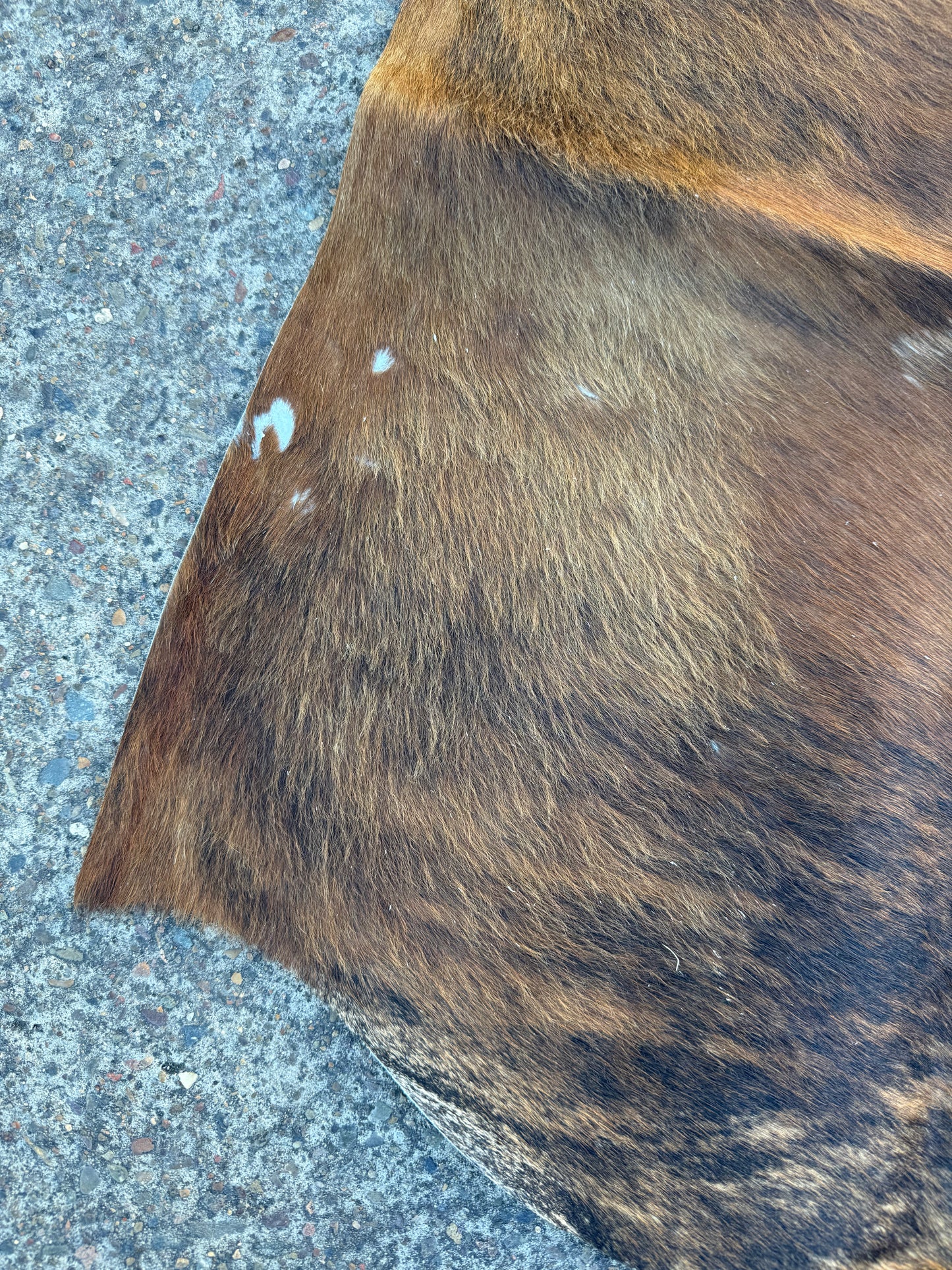 Craft hide side - 168