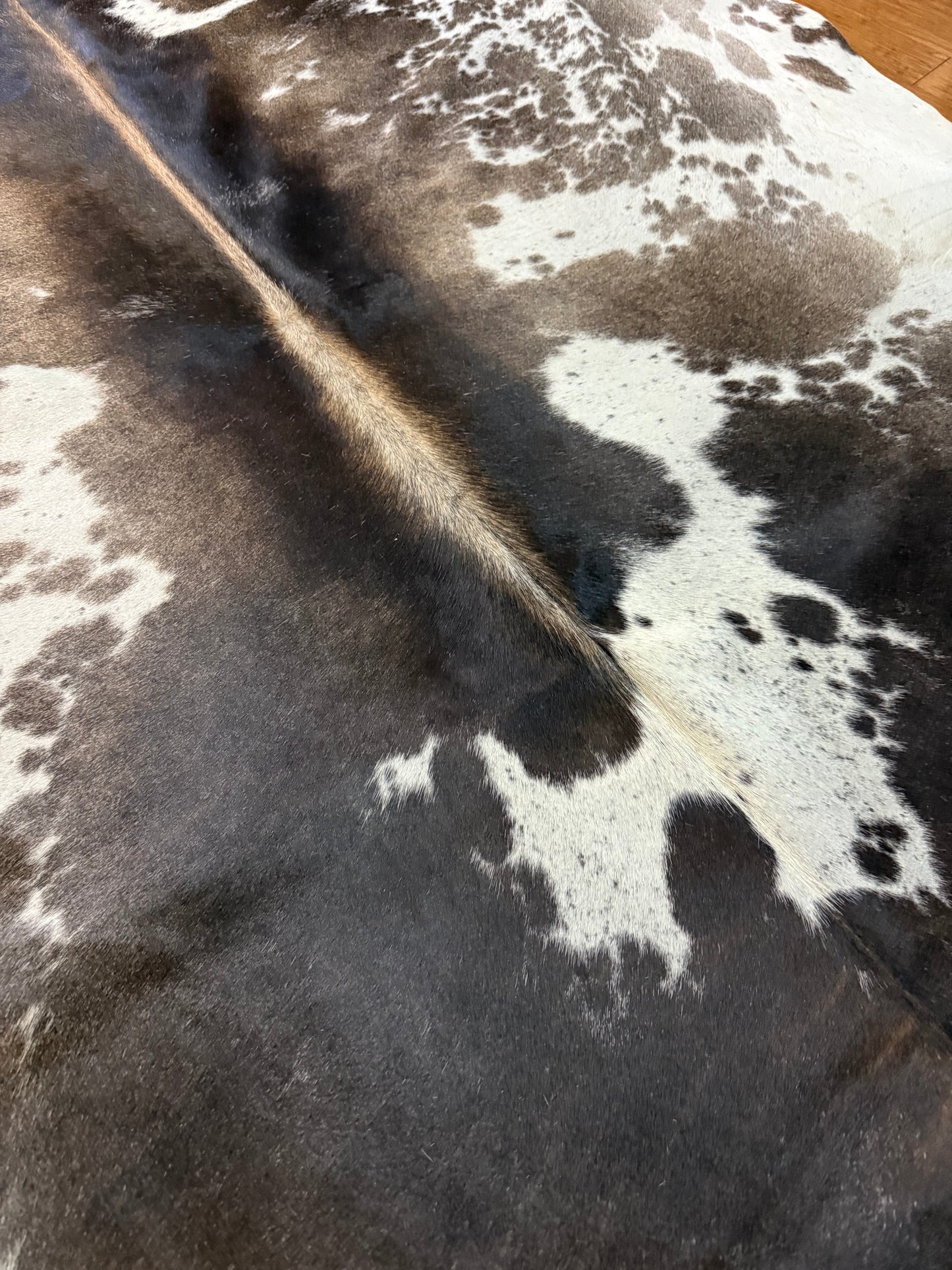 Cowhide Rug 321