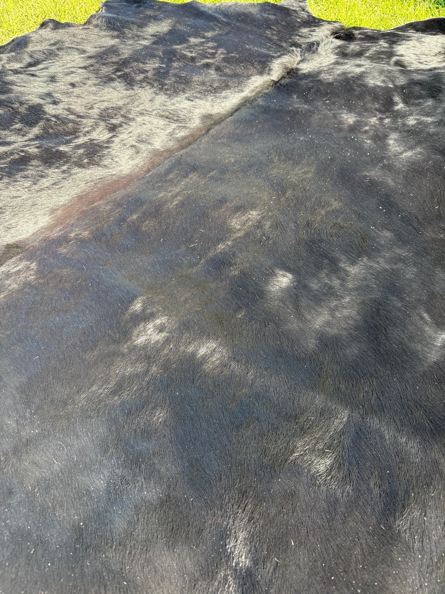 Cowhide Rug 407