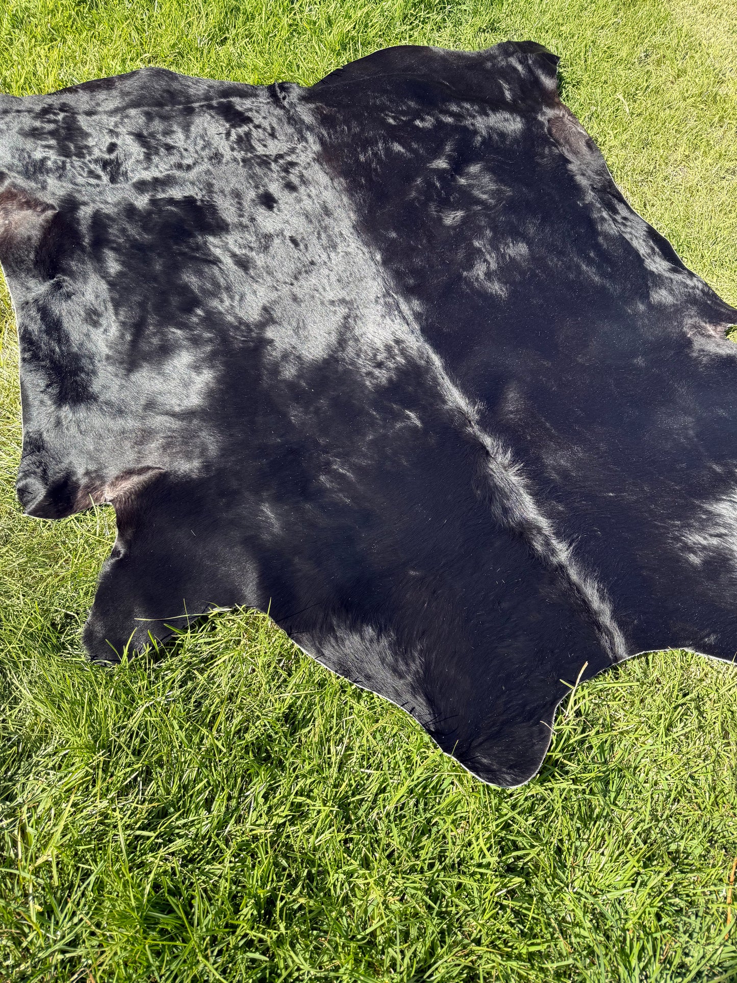 Cowhide Rug 407