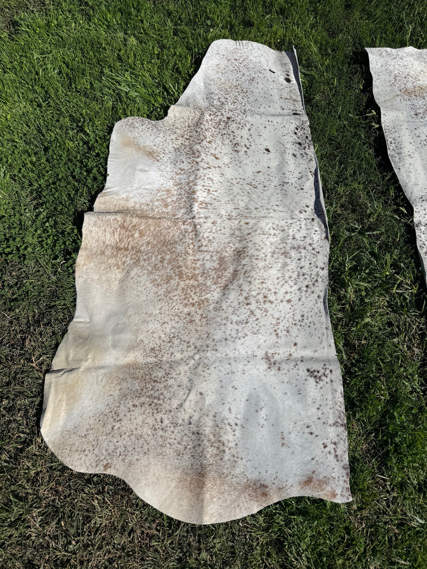 Craft hide side - 173