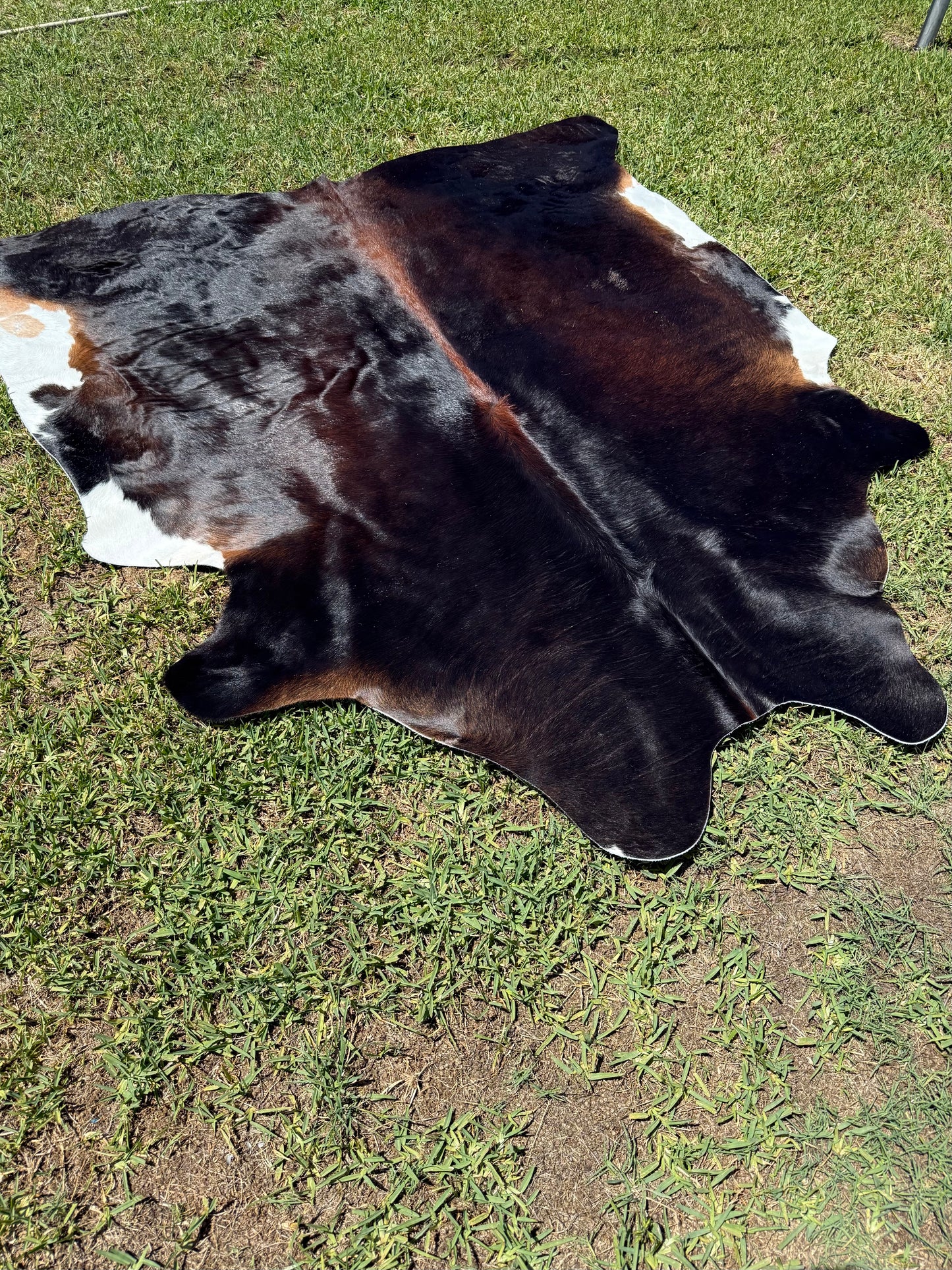 Cowhide Rug 368