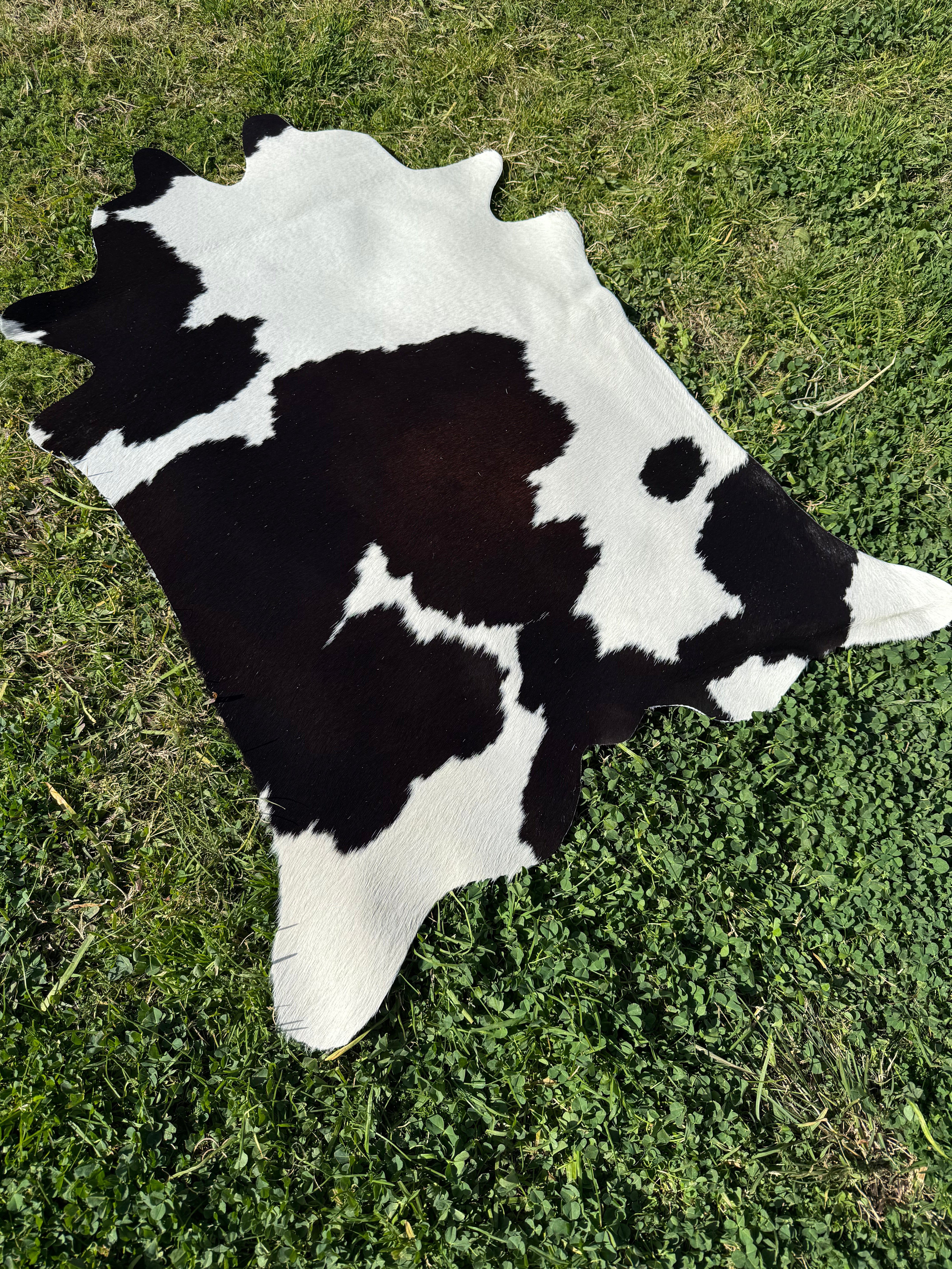 Mini Cowhide 19 – hunterandhide