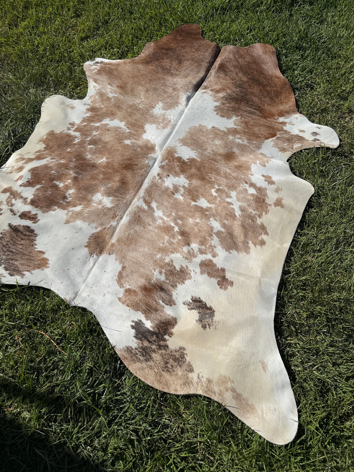 Cowhide Rug 409 - Small