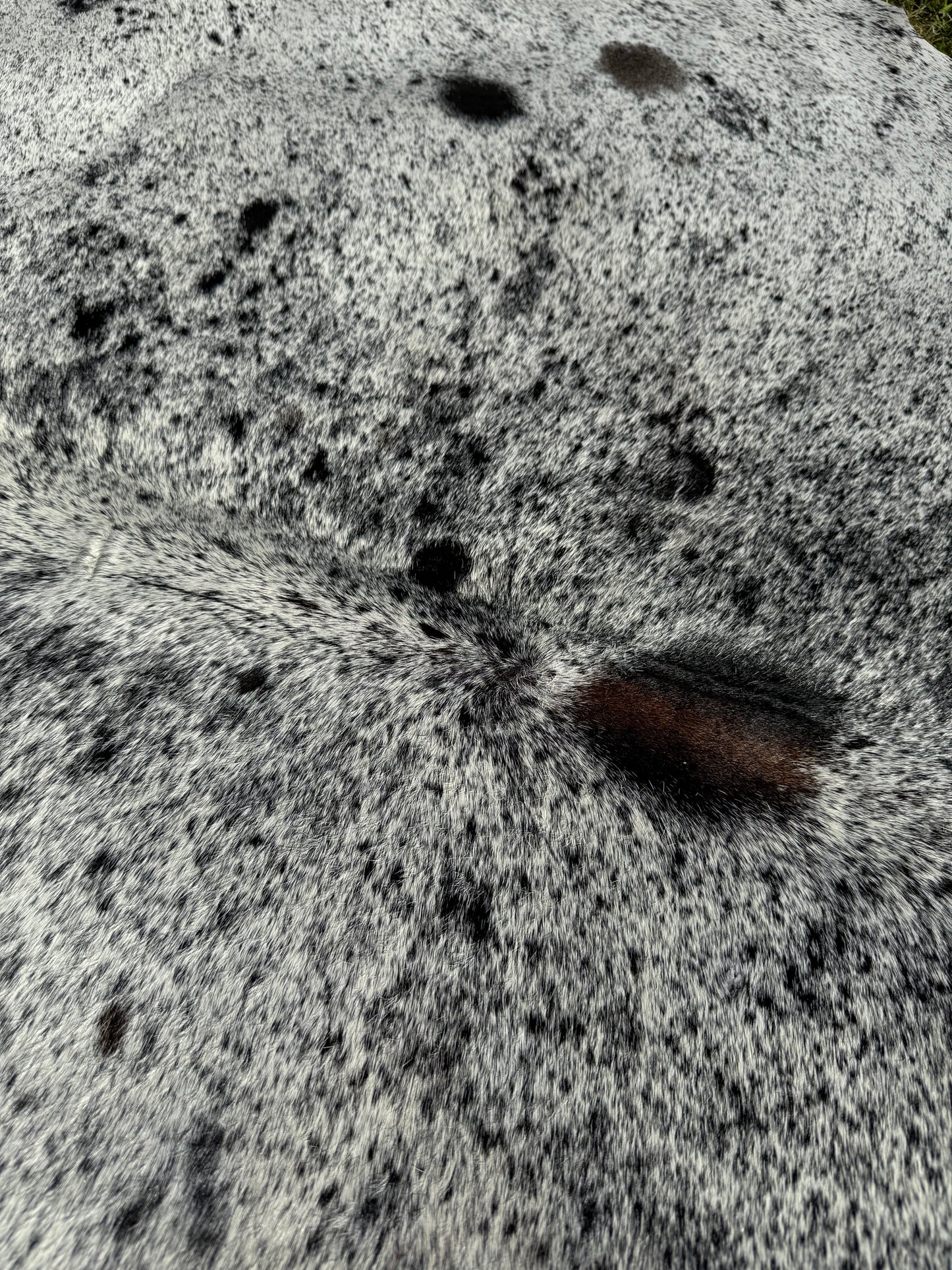 Cowhide Rug Small 309