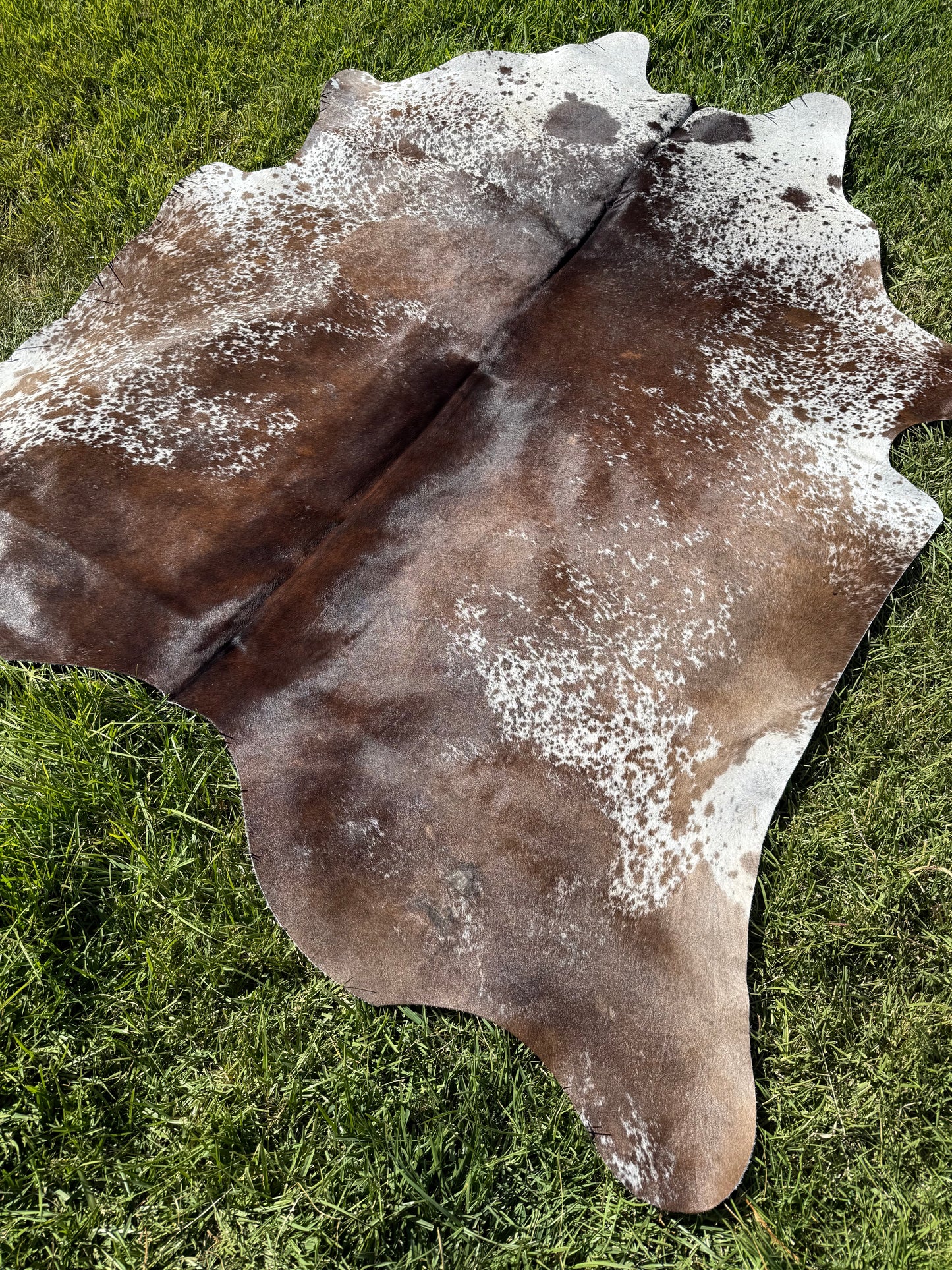 2nd Rug