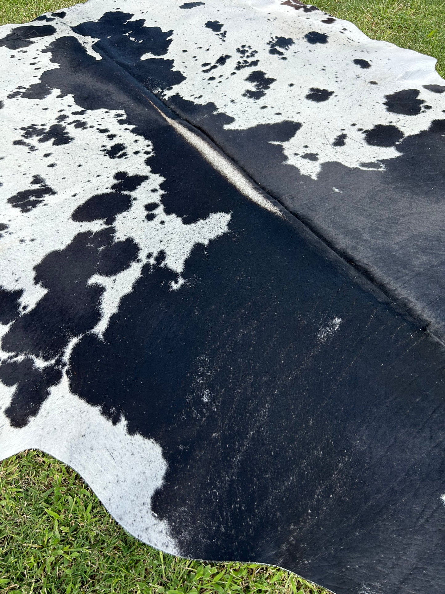 Cowhide Rug 275