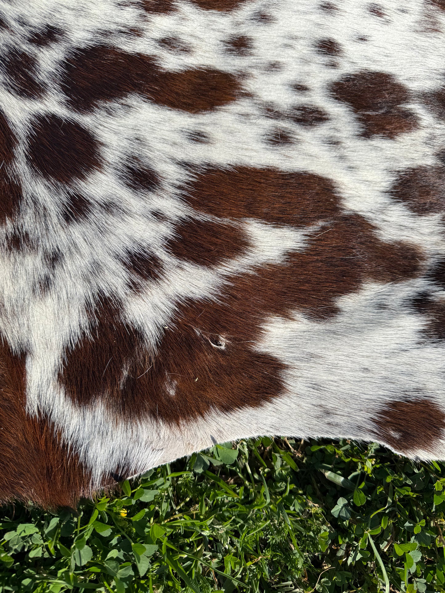 Craft hide side - 32