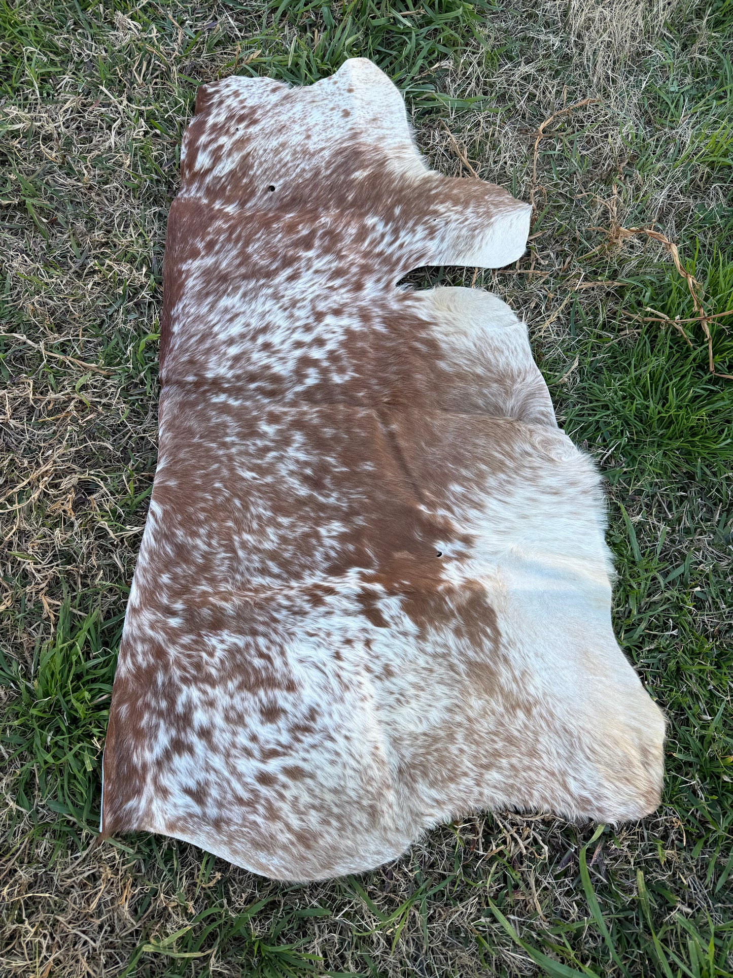 Craft hide side - 200
