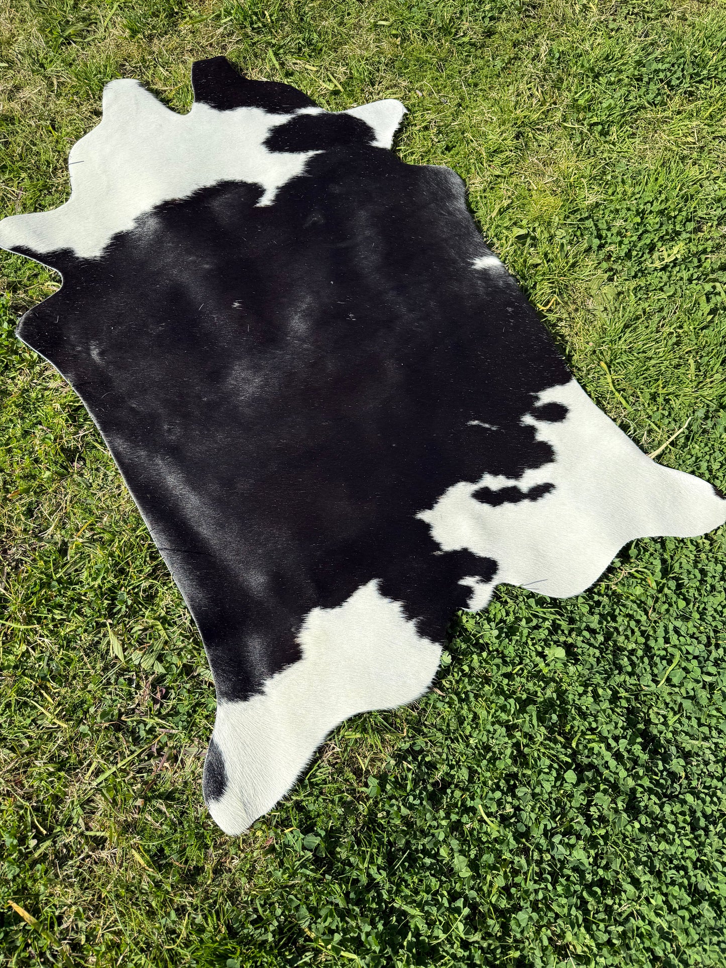 Mini Cowhide 18