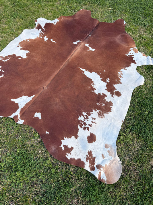 Cowhide Rug 312