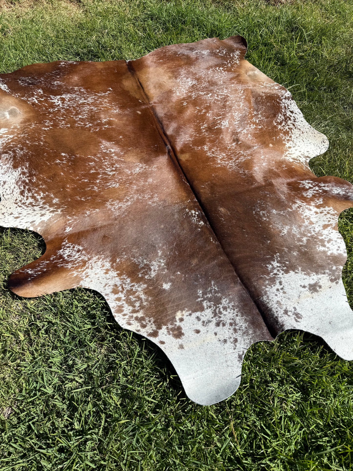 Cowhide Rug 400