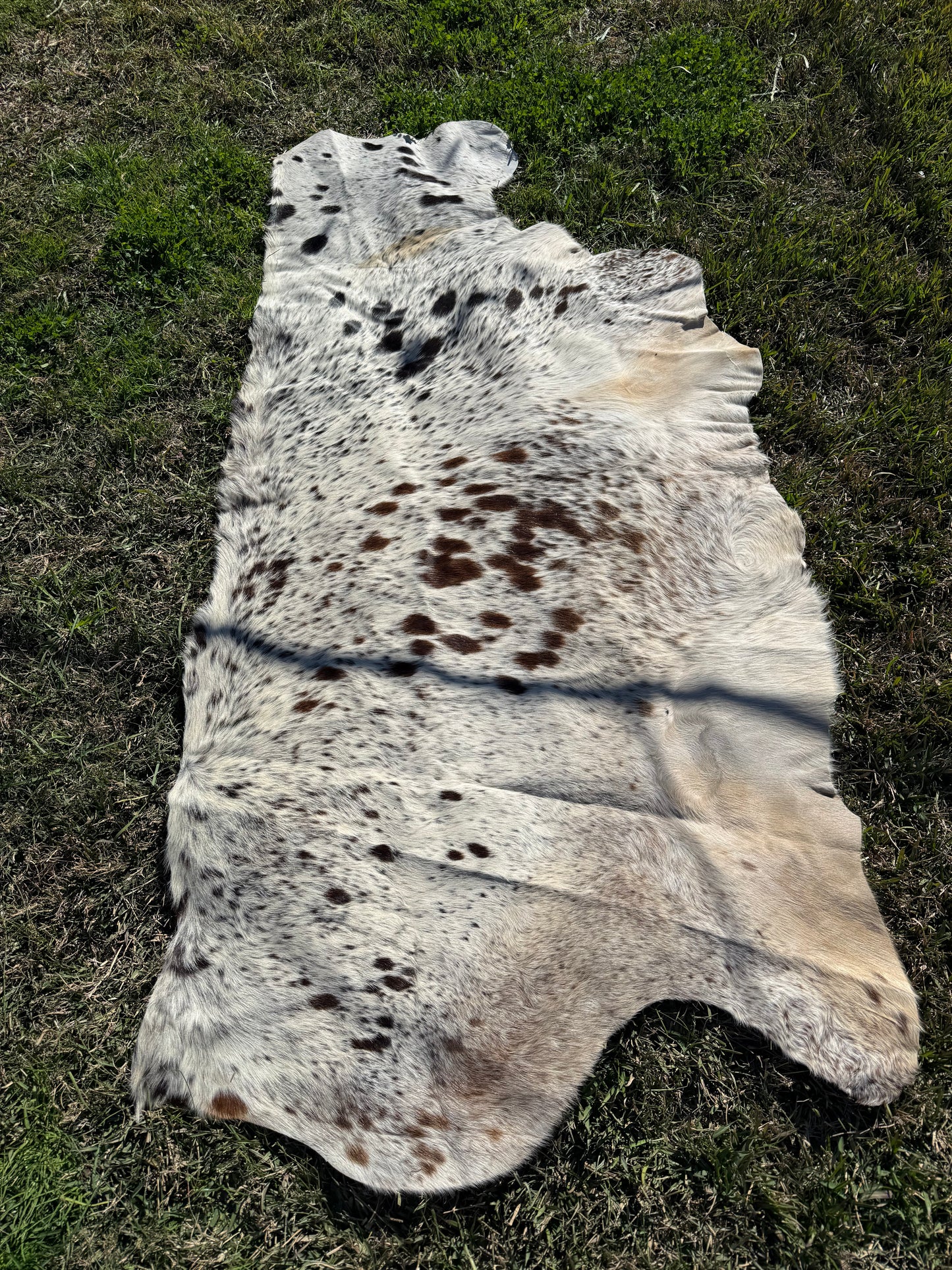 Craft hide side - 172